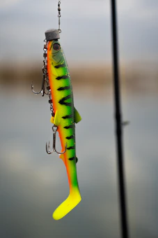 Colorful fishing lure with treble hooks on a predator rod