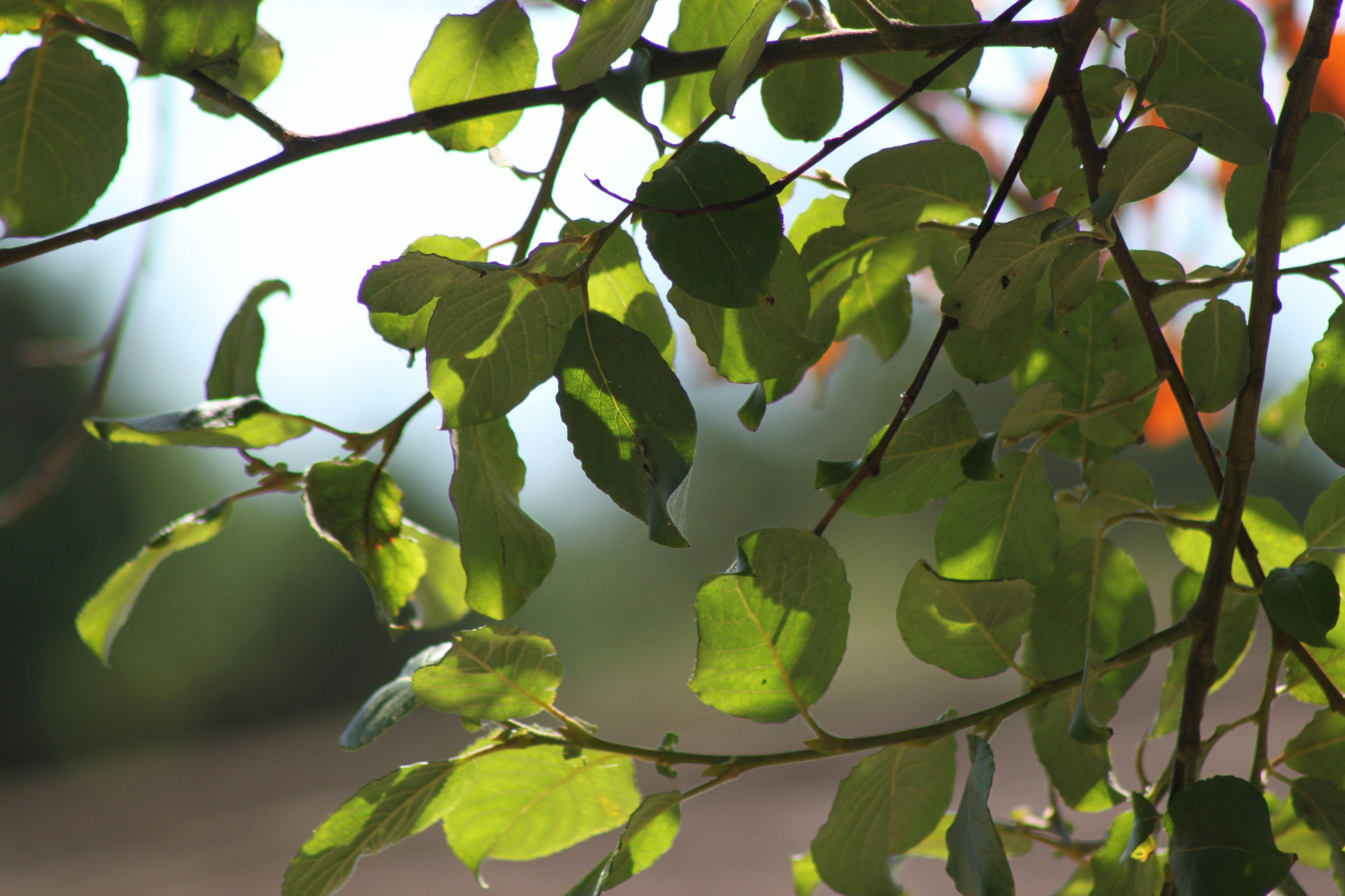 Photo by rubyphotography