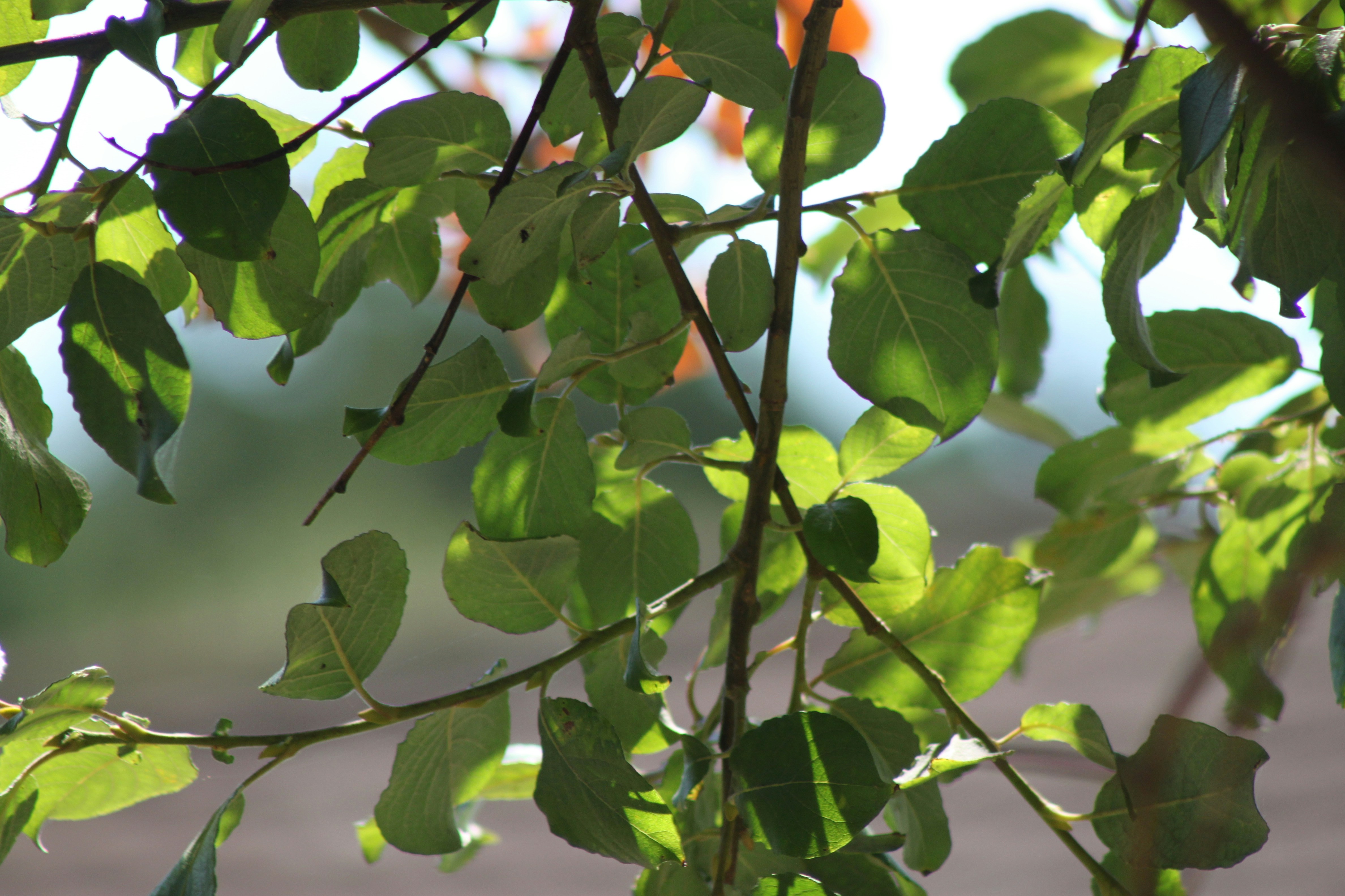 Photo by rubyphotography