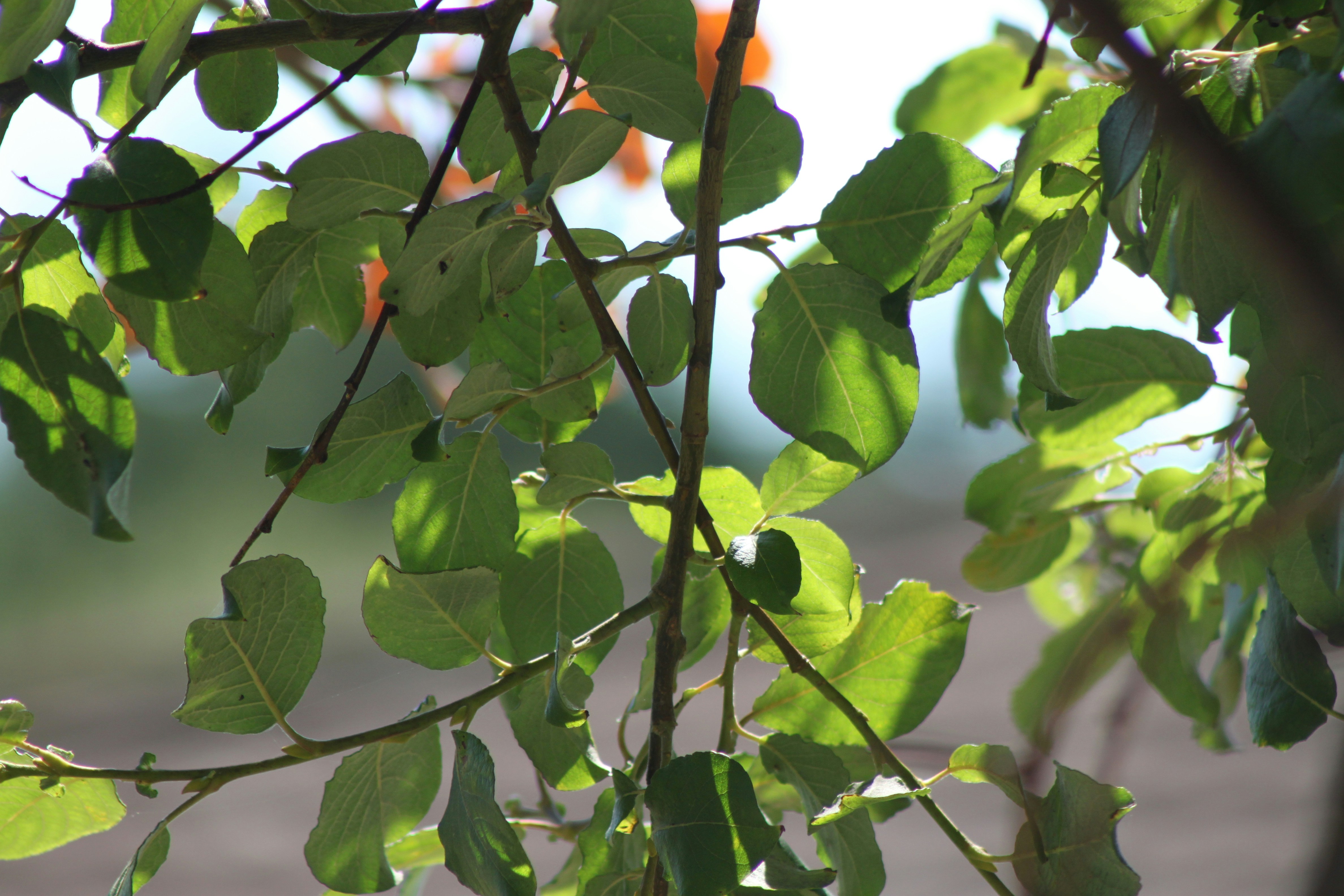 Photo by rubyphotography