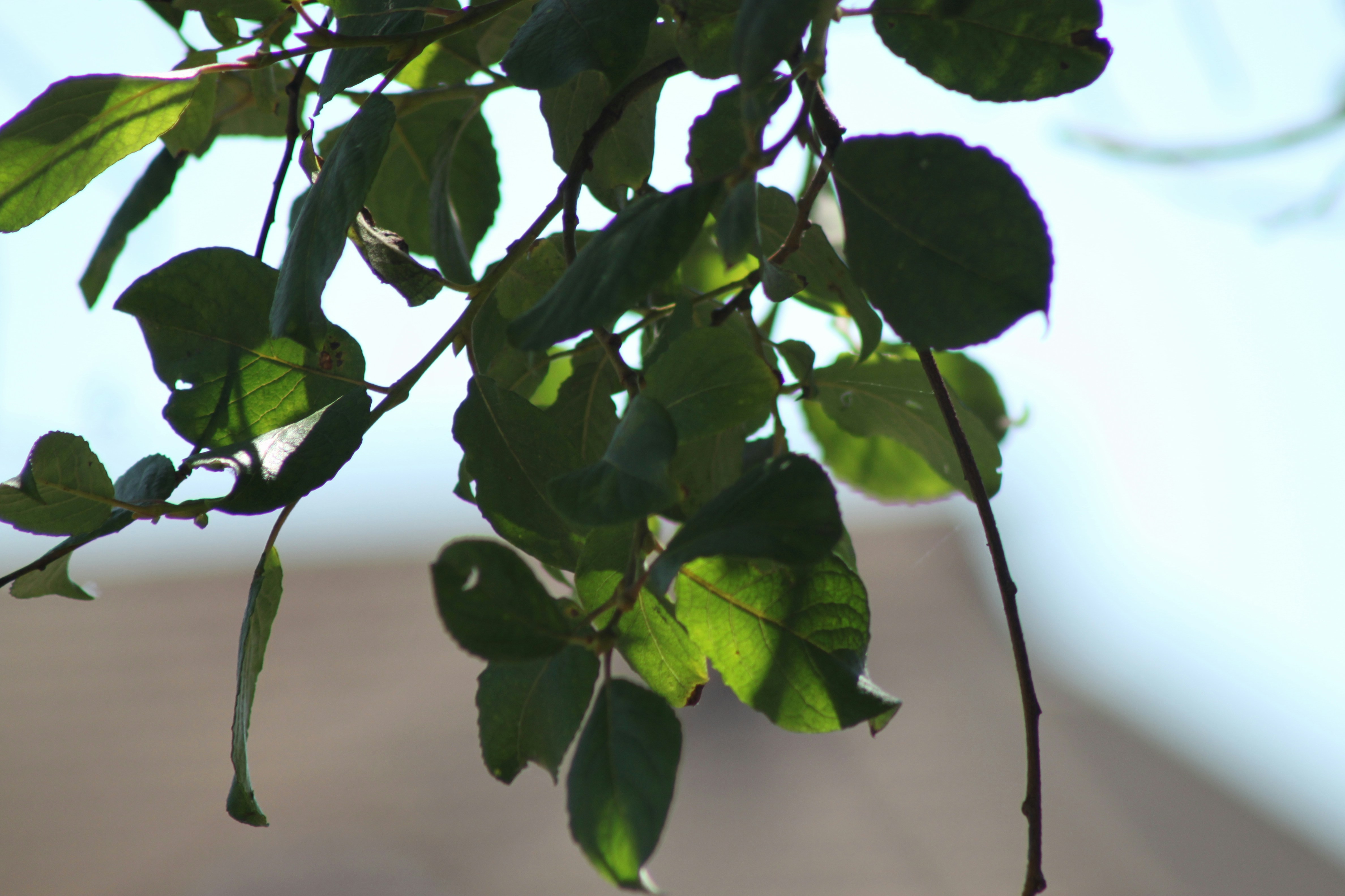 Photo by rubyphotography