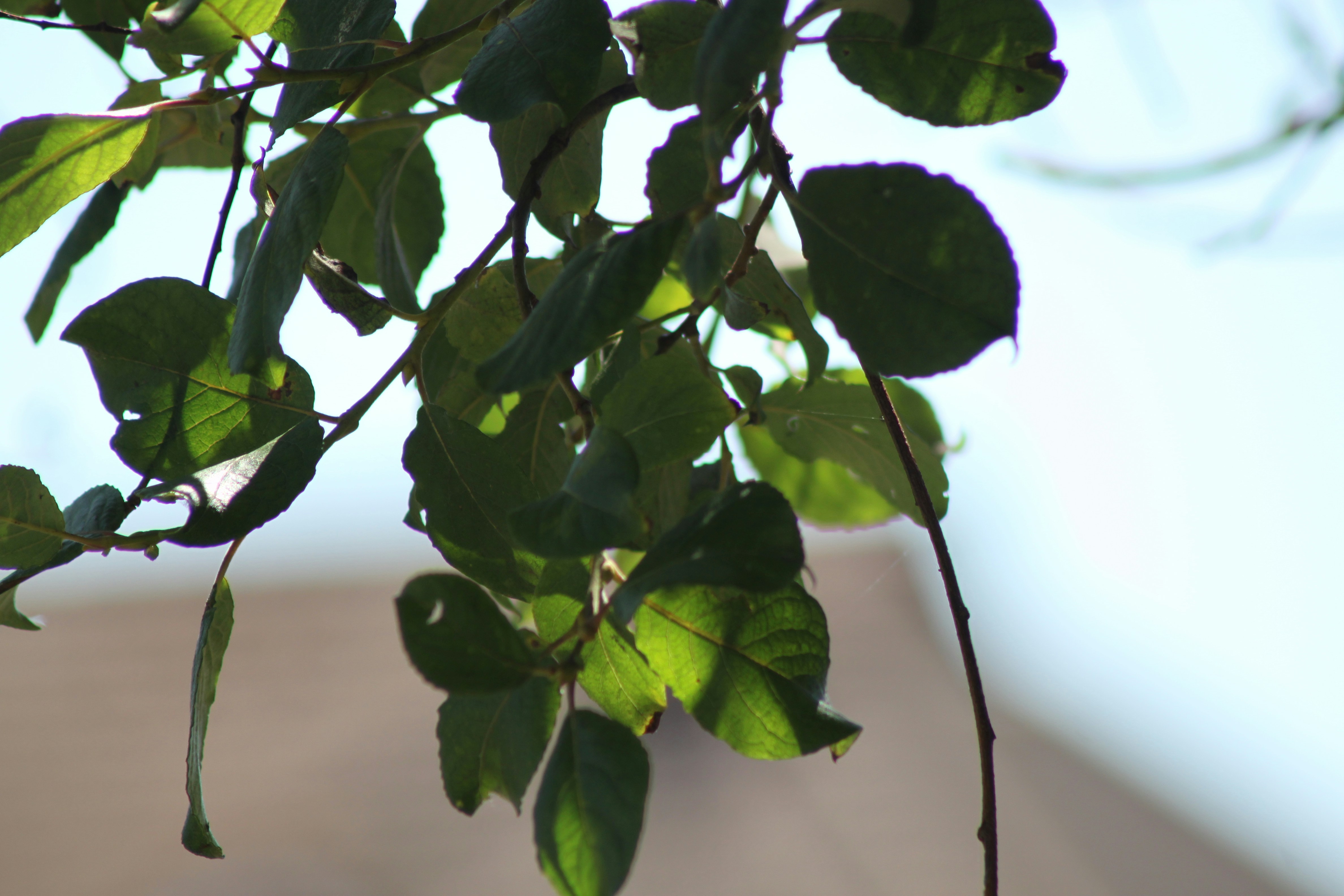 Photo by rubyphotography