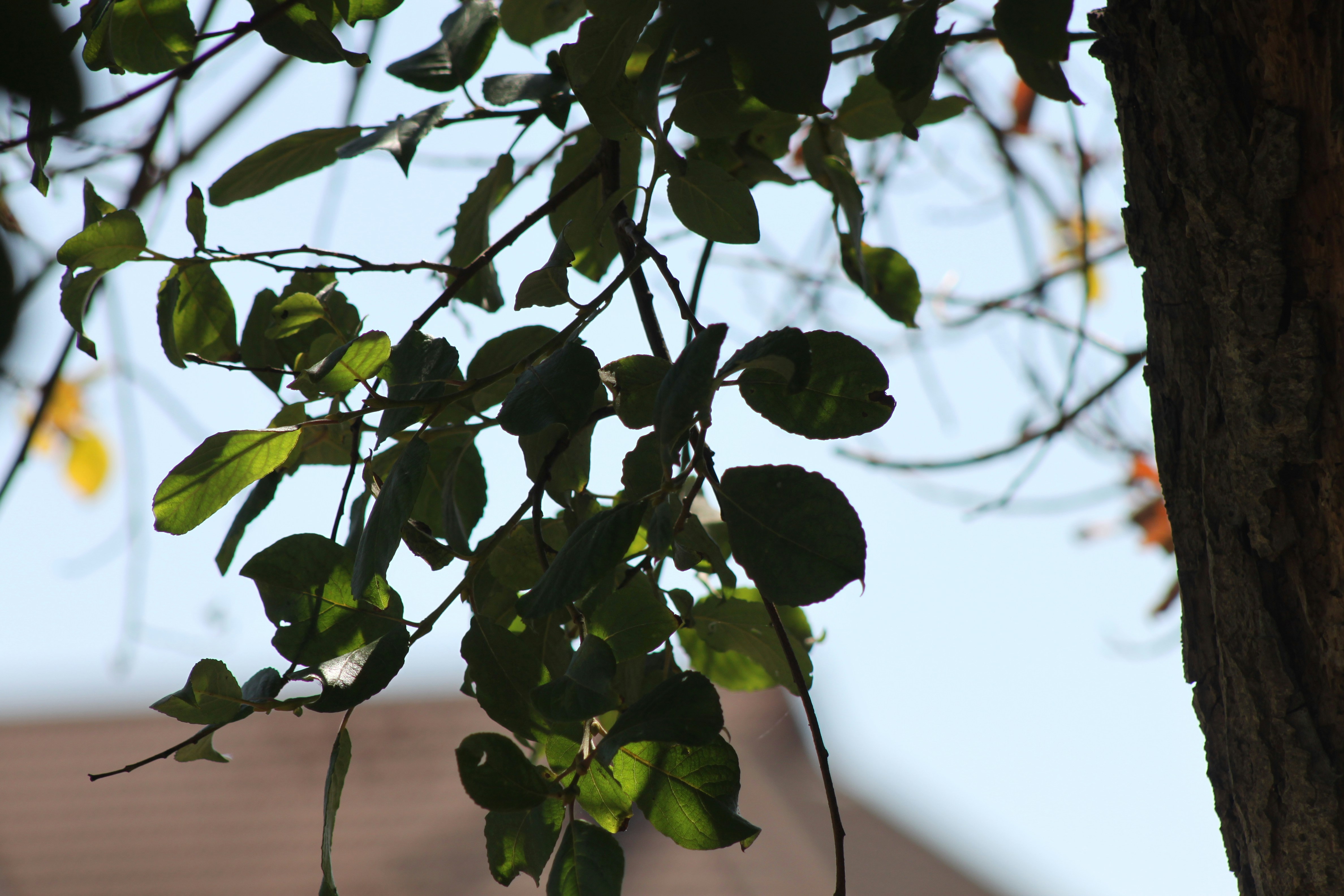 Photo by rubyphotography