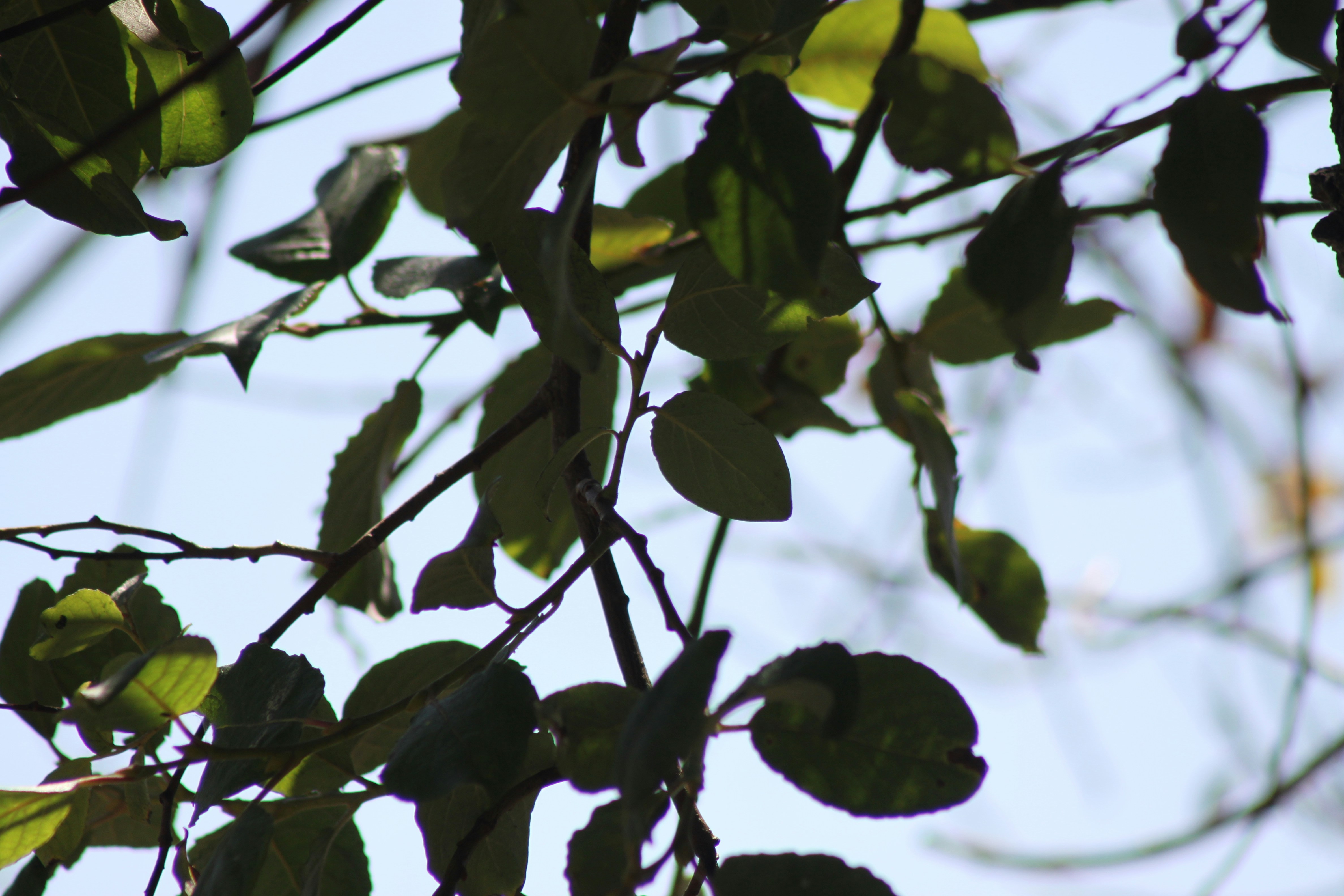 Photo by rubyphotography