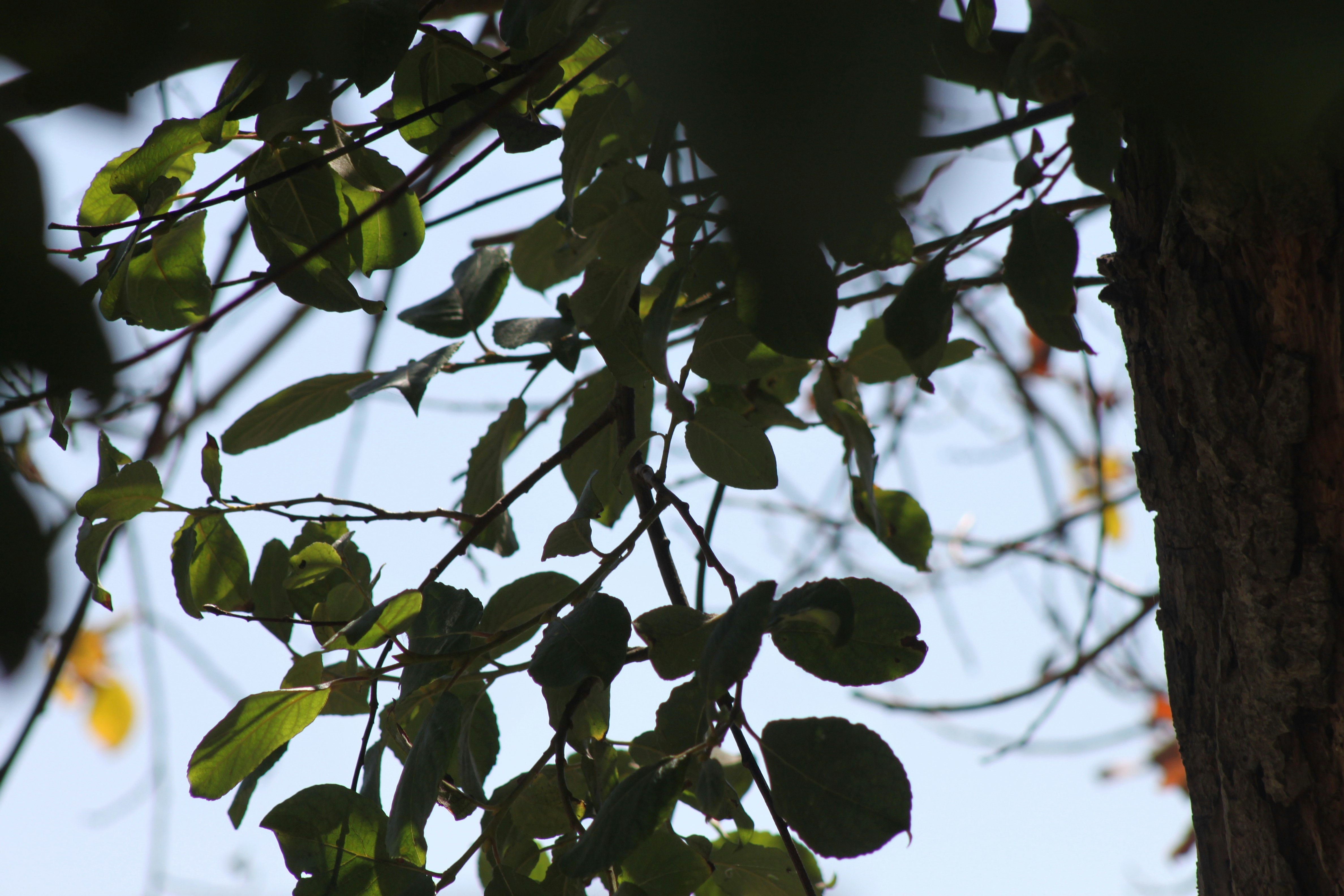 Photo by rubyphotography