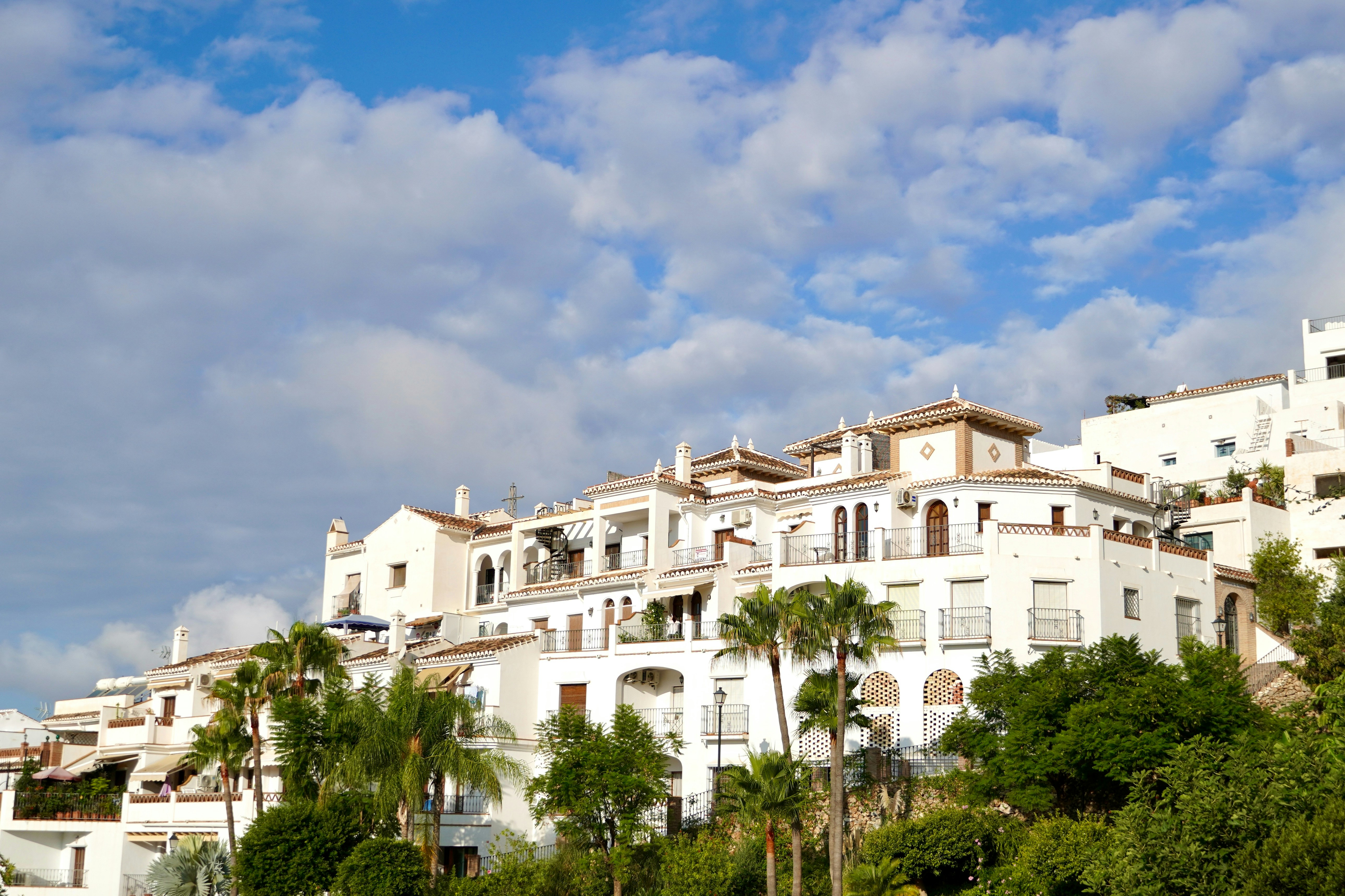 Whitewashed buildings on a hillside with palm trees