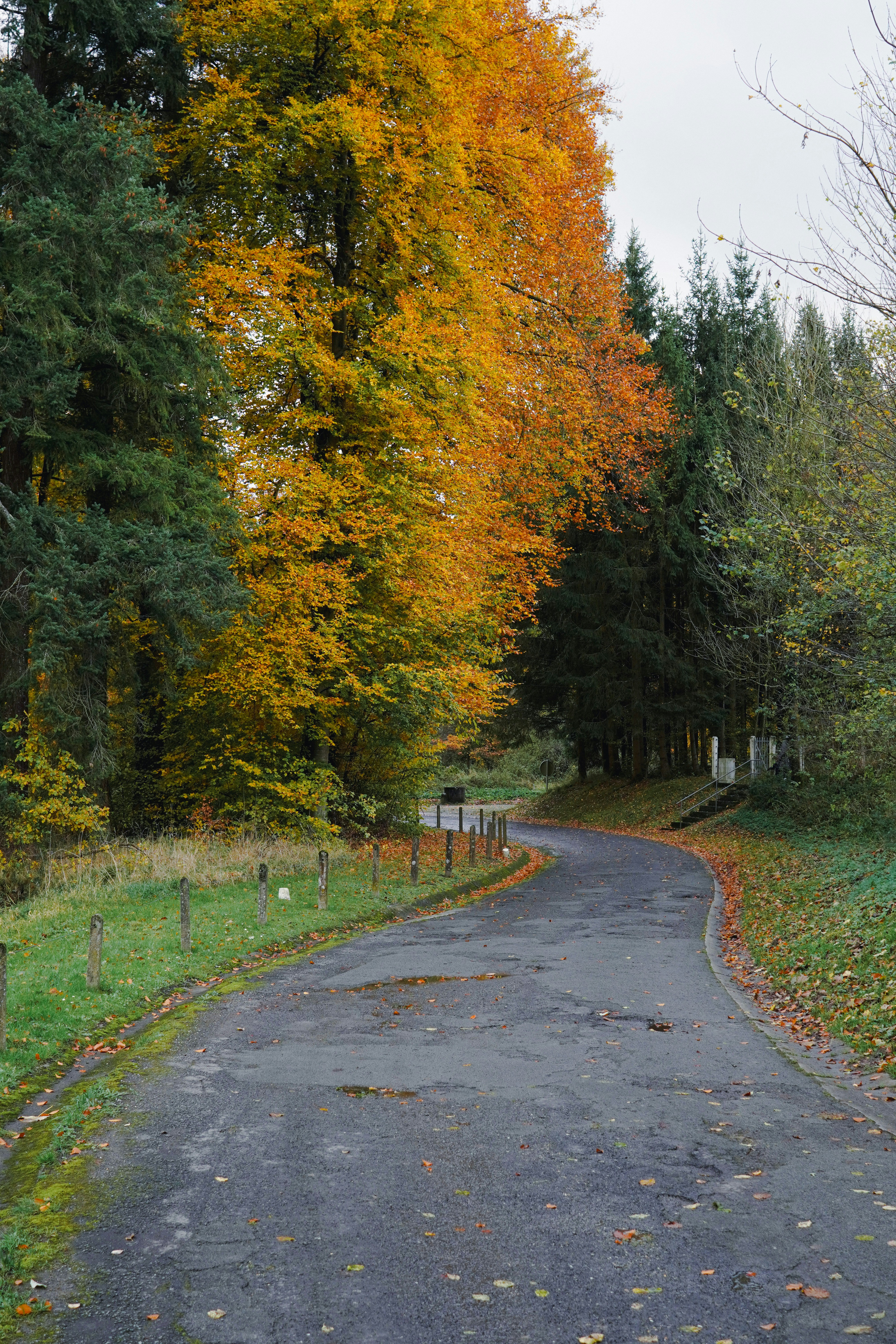 Photo by lau_cocovrard