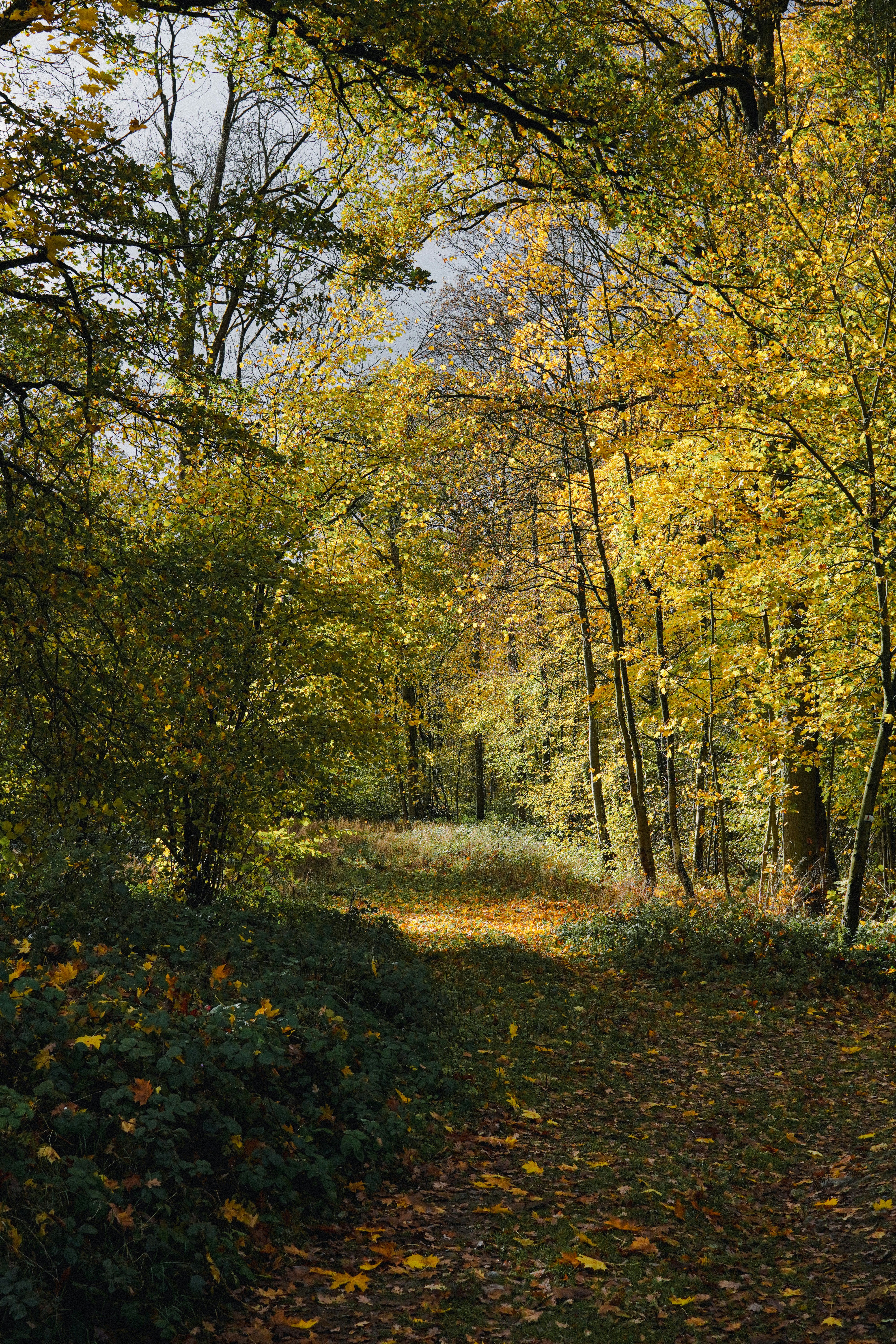 Photo by lau_cocovrard