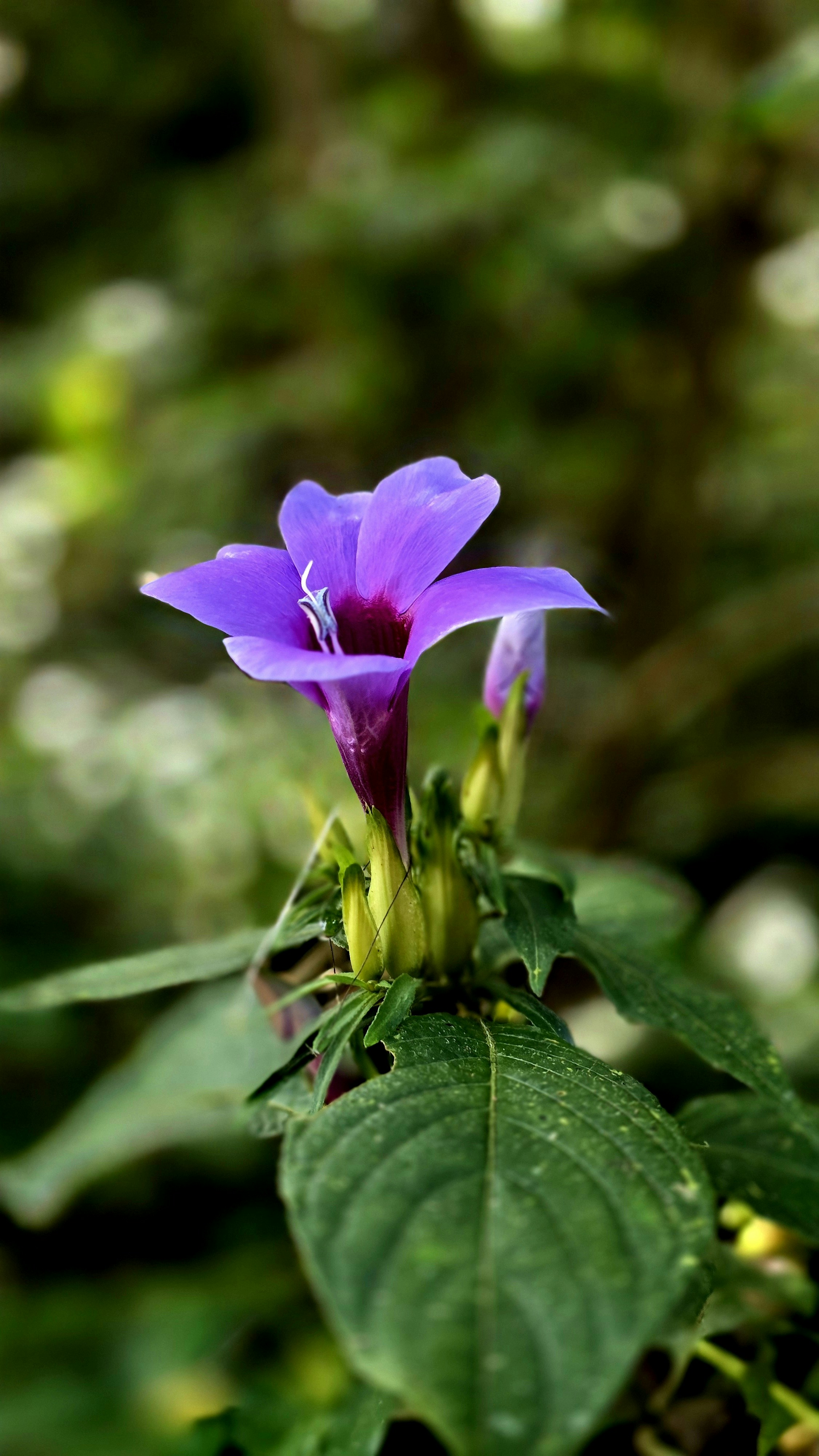 Photo by manjunathcs