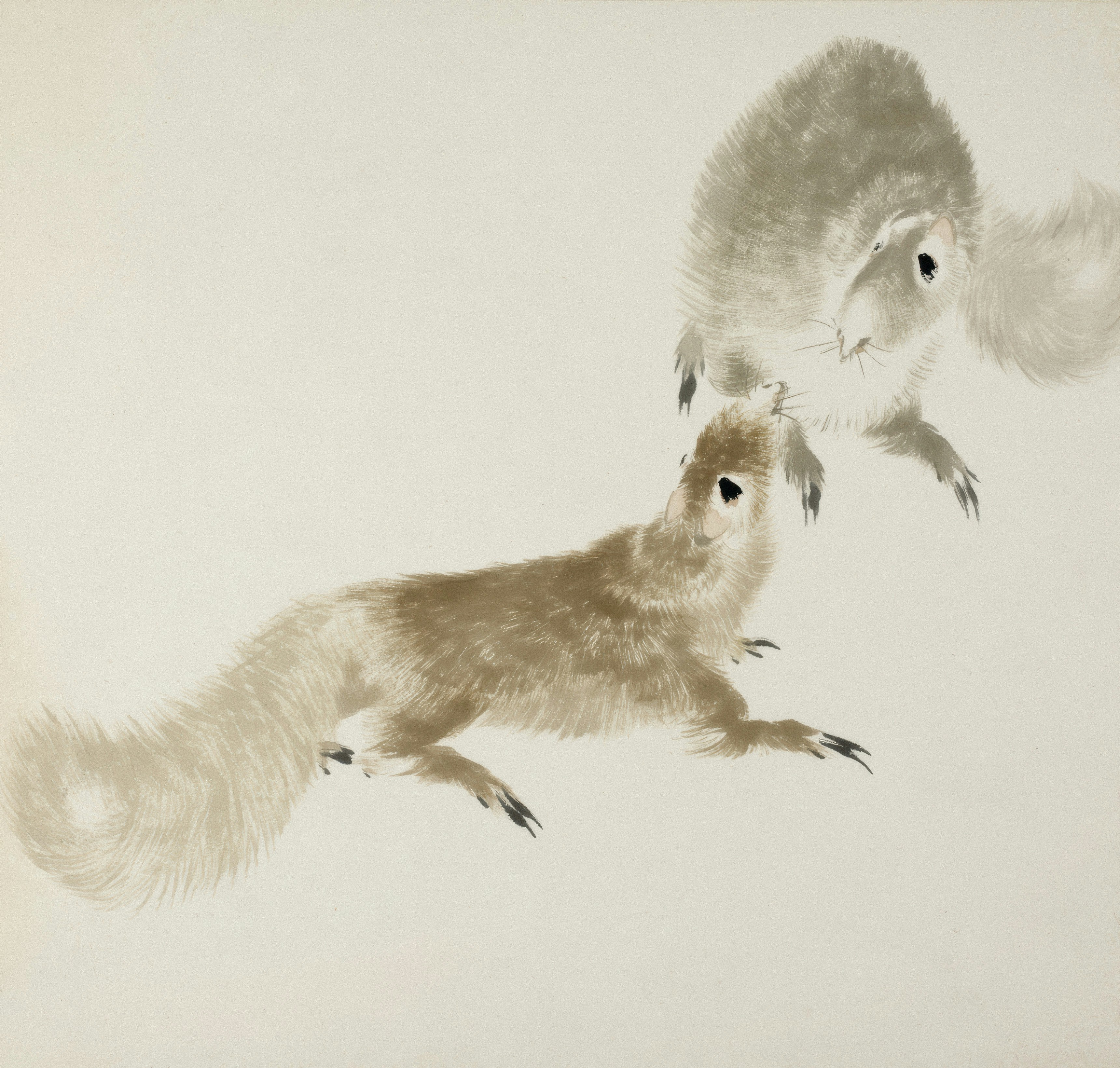 밝은 배경에서 상호작용하는 두 마리 다람쥐