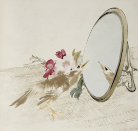A bird looks at its reflection in a mirror.