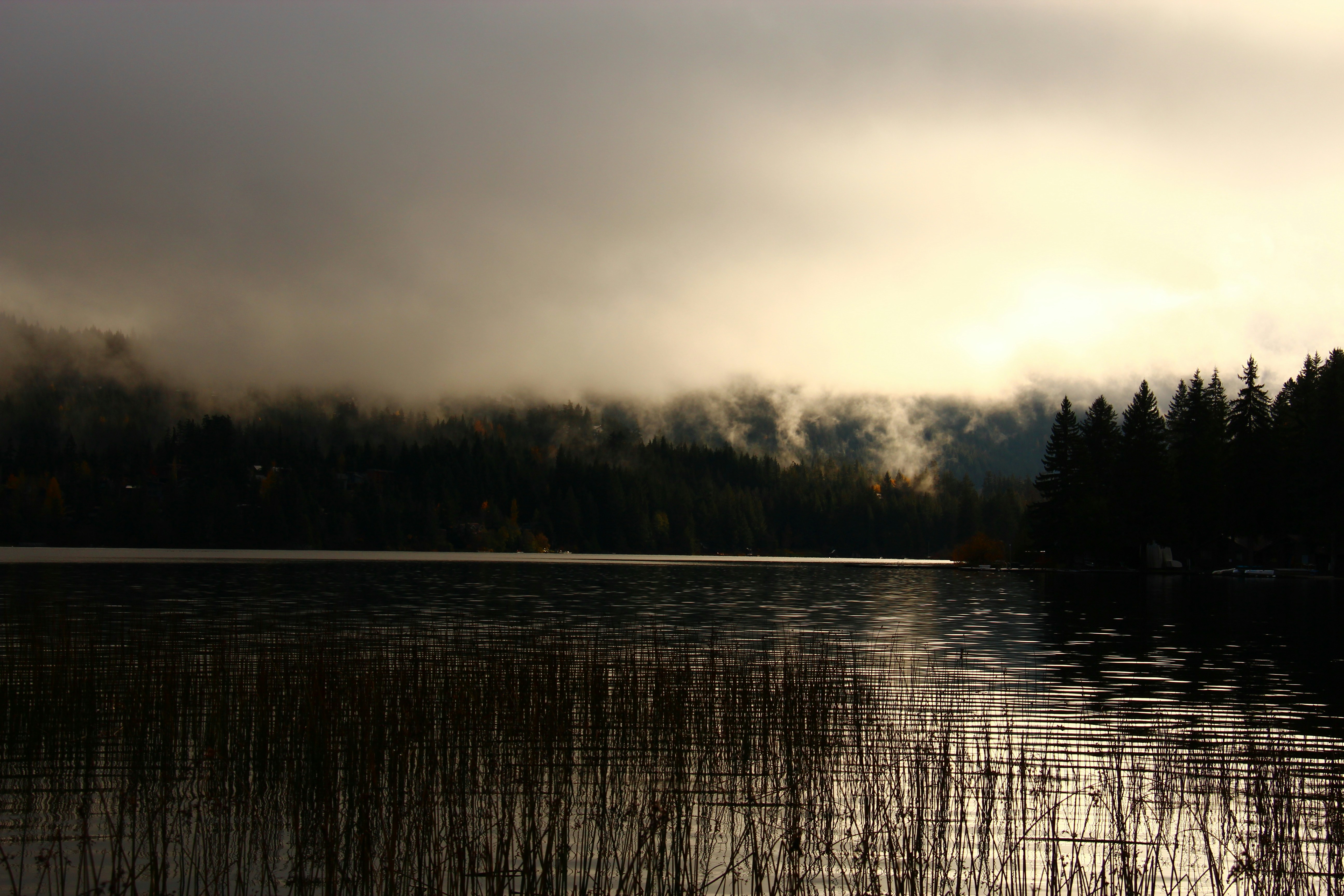 Photo by jeet_photography