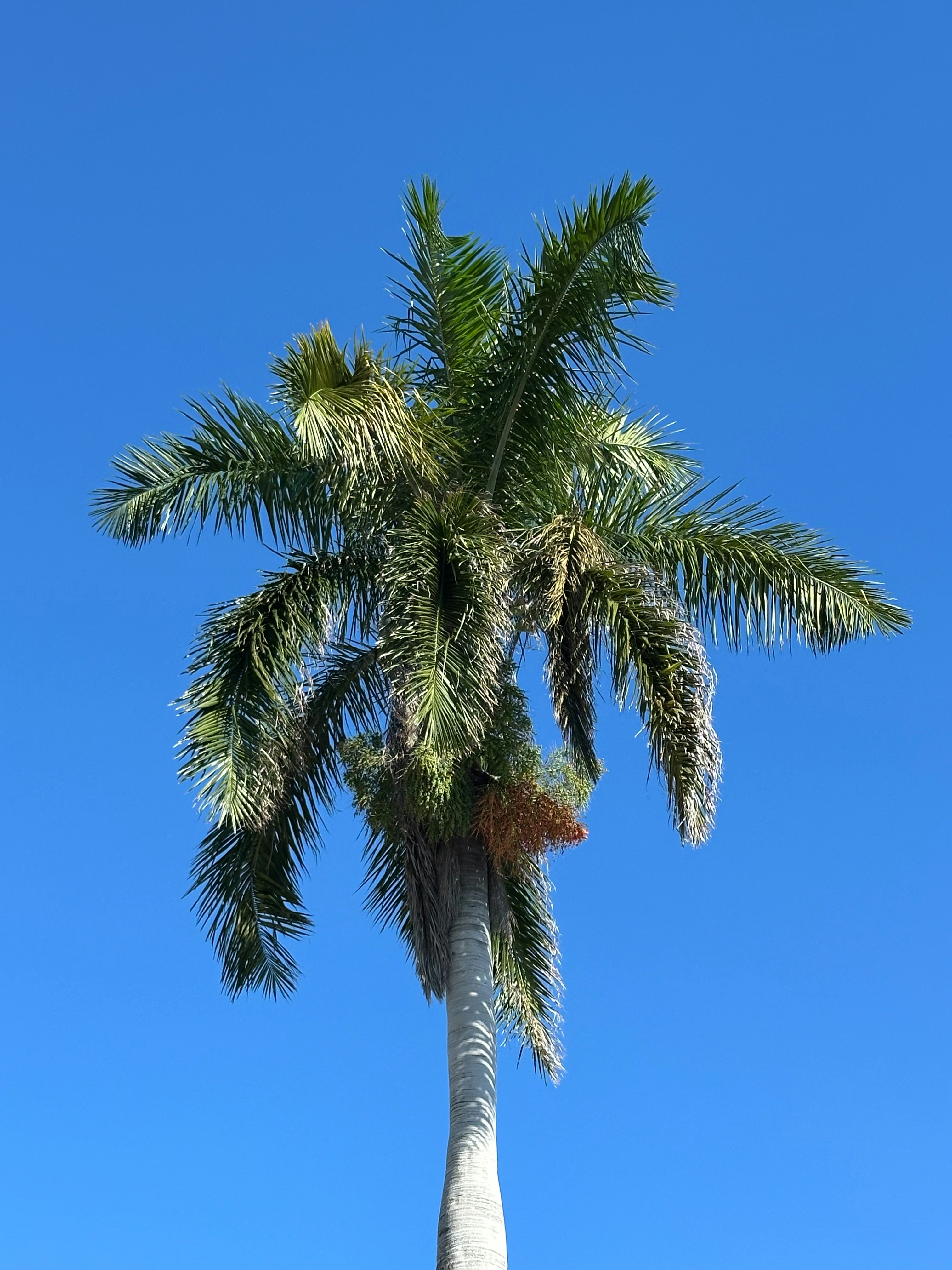 Photo by pricestudios