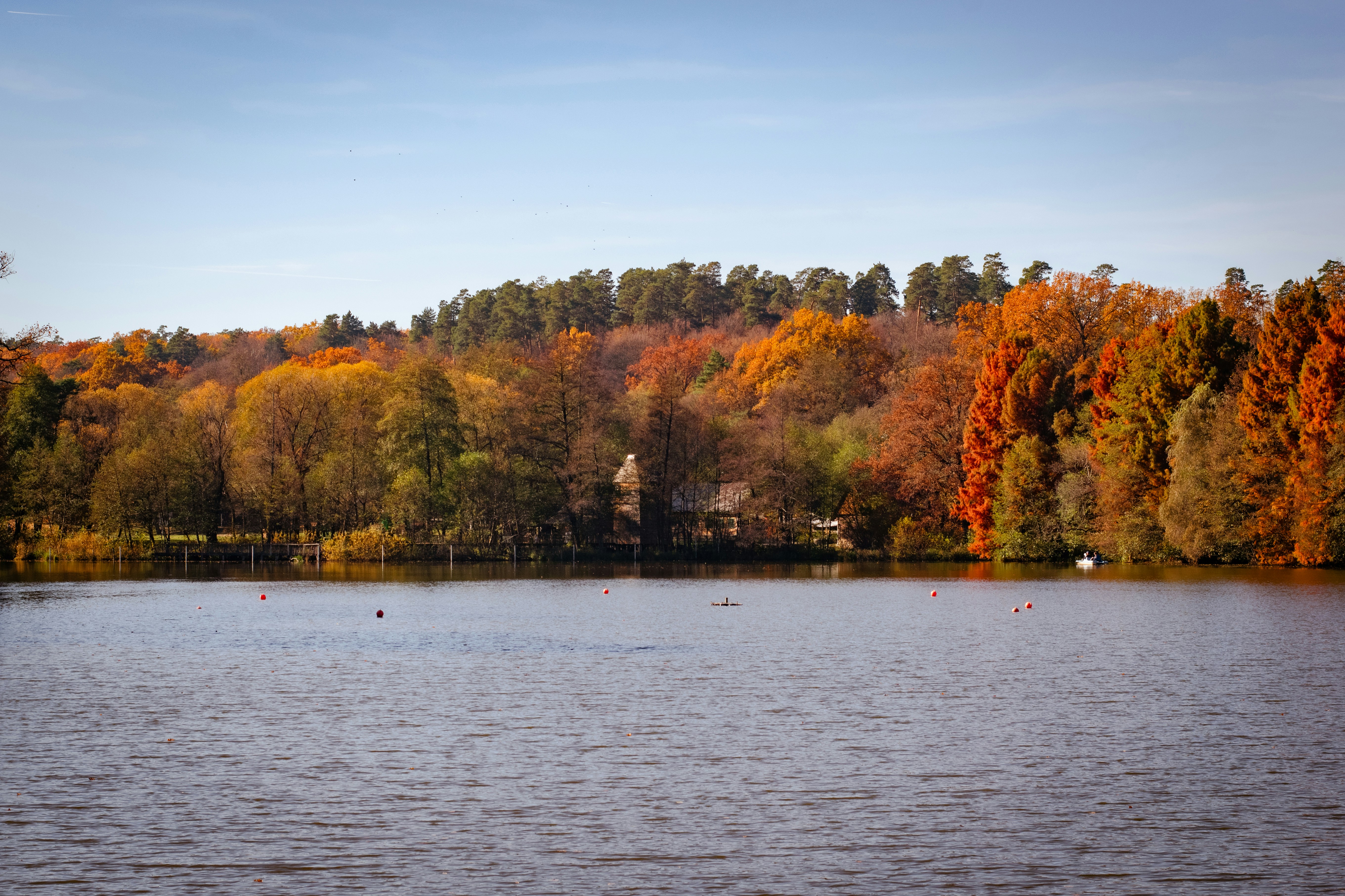 Photo by tudorgabriel7