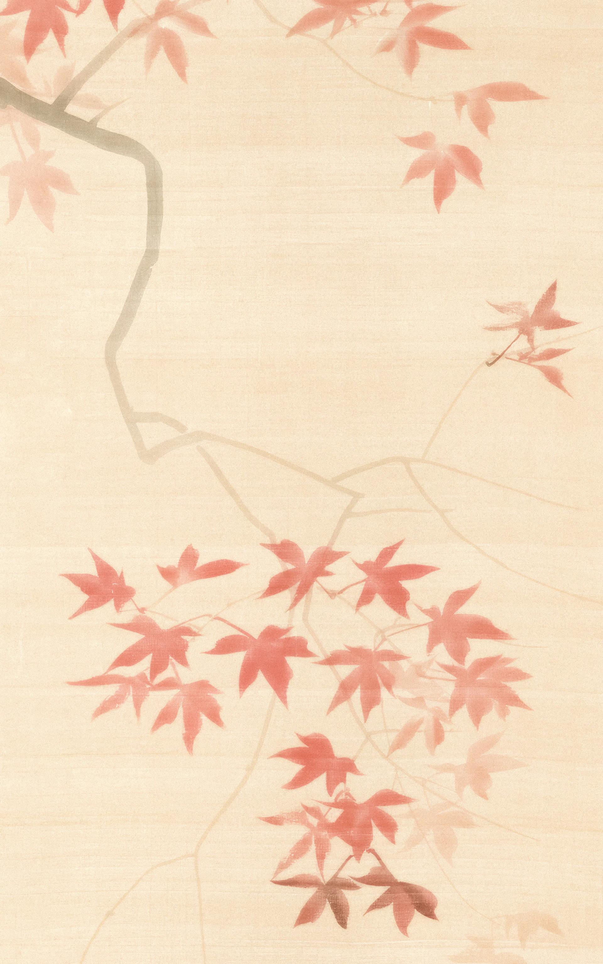 Delicate red maple leaves on a light background.