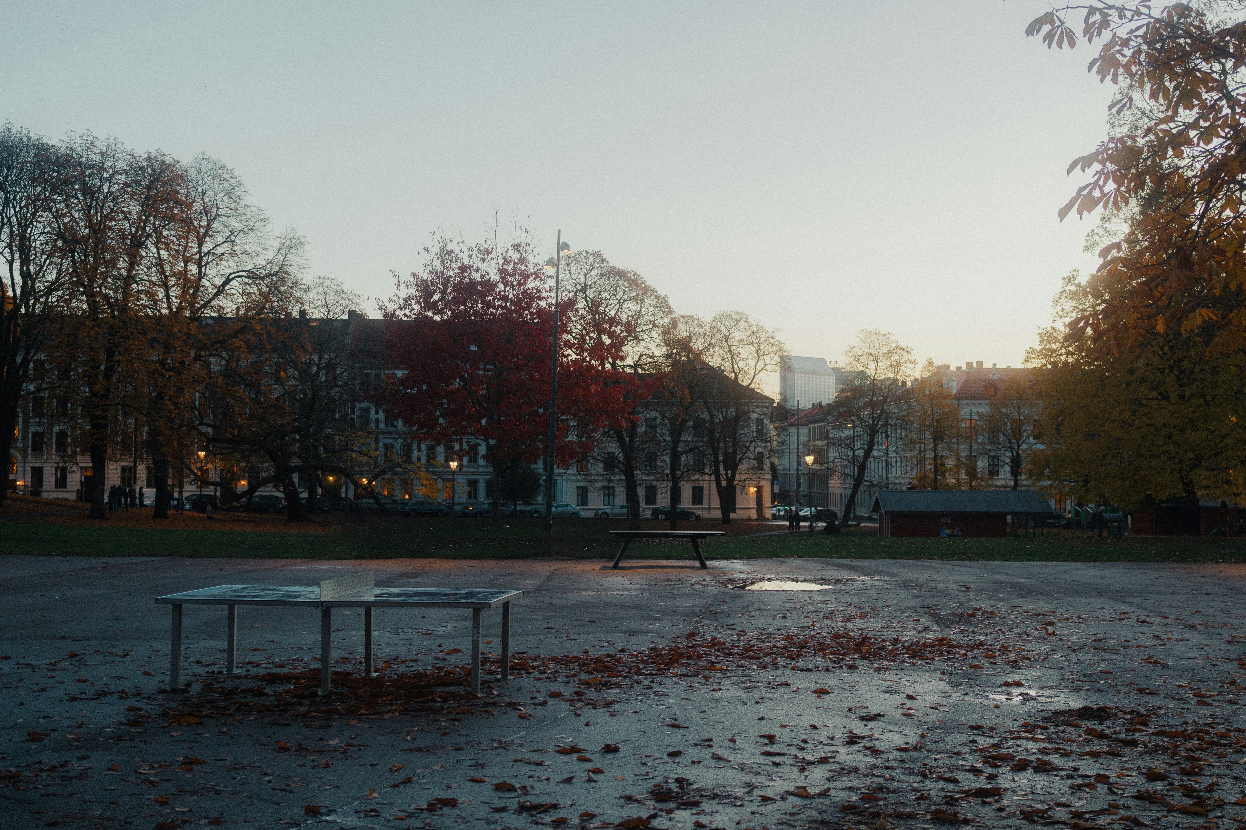 Empty park with tables at dusk