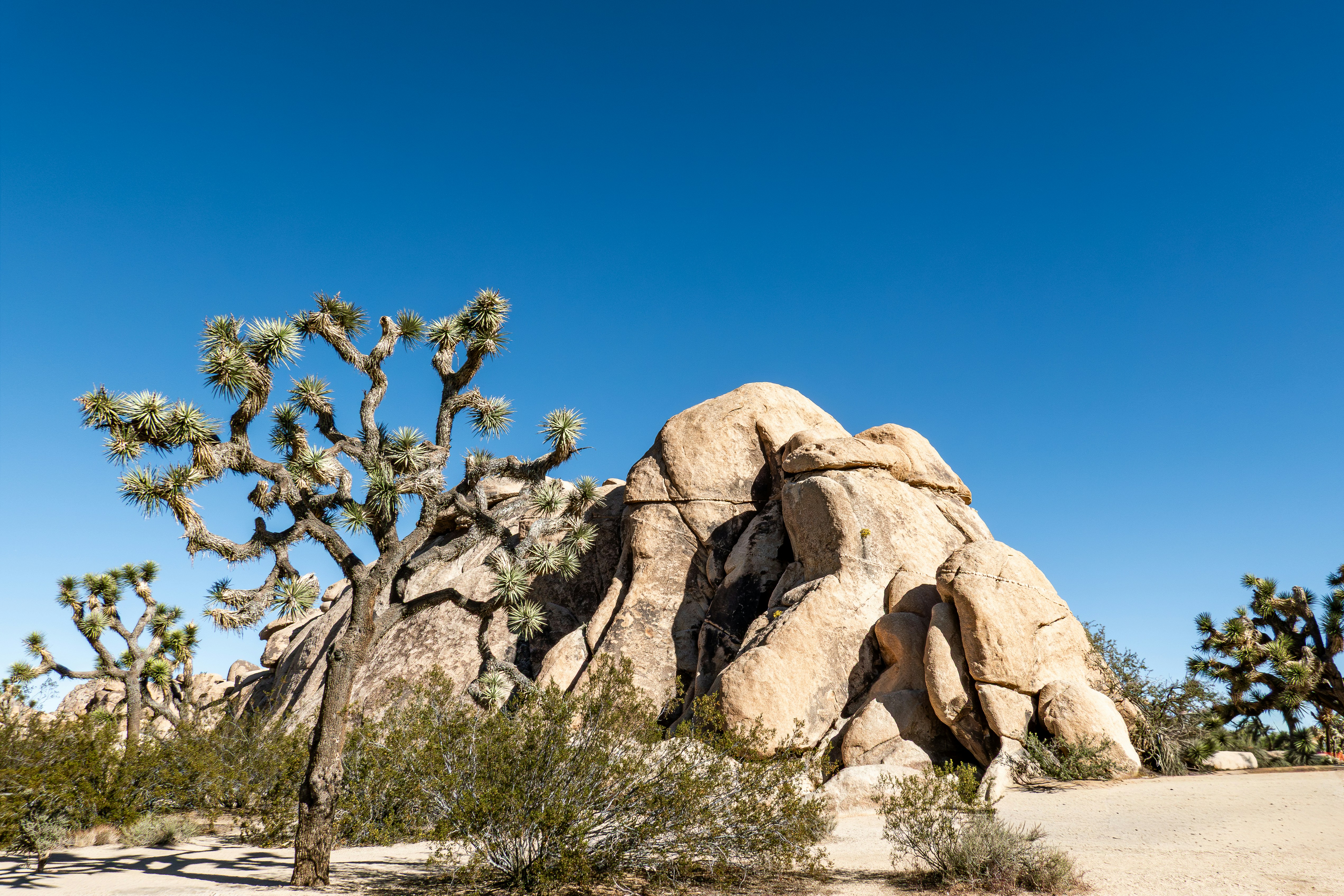 Photo by chris_robert