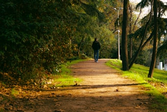 Person walking on a sunlit park path