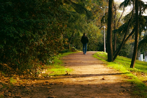 Person walking on a sunlit park path