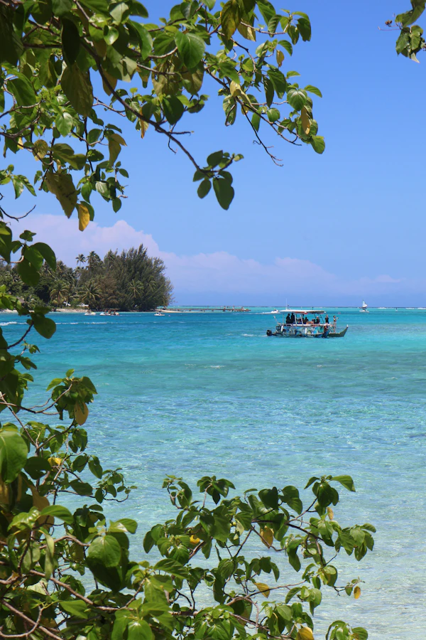 Tahiti, French Polynesia photo 1
