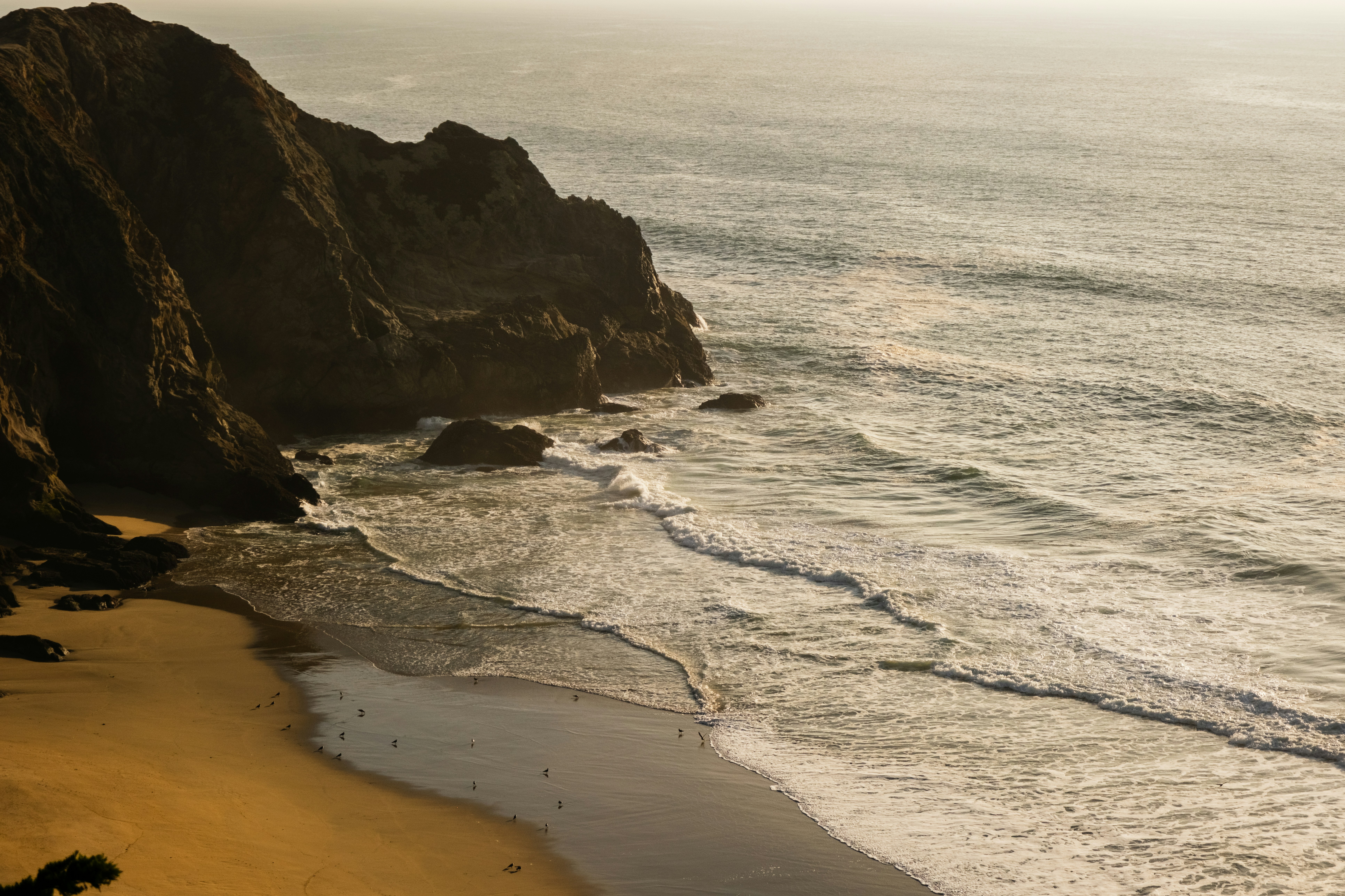 Photo by kalaniparker