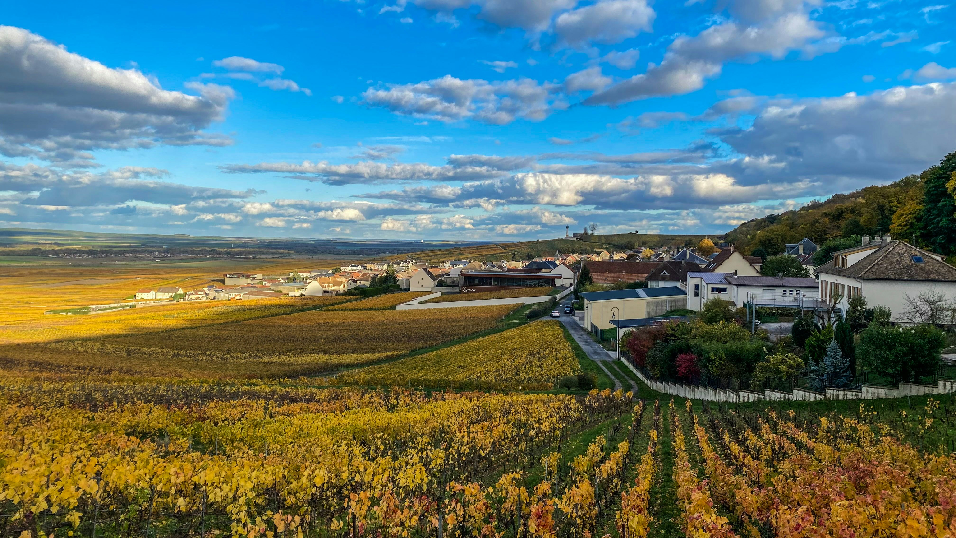 Vineyard landscape with village under blue sky