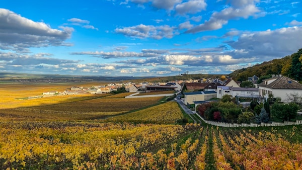 Burgundy French vineyard landscape