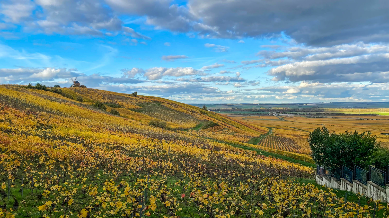 Royal Champagne Hotel & Spa: A Hillside Retreat in the Heart of Champagne
