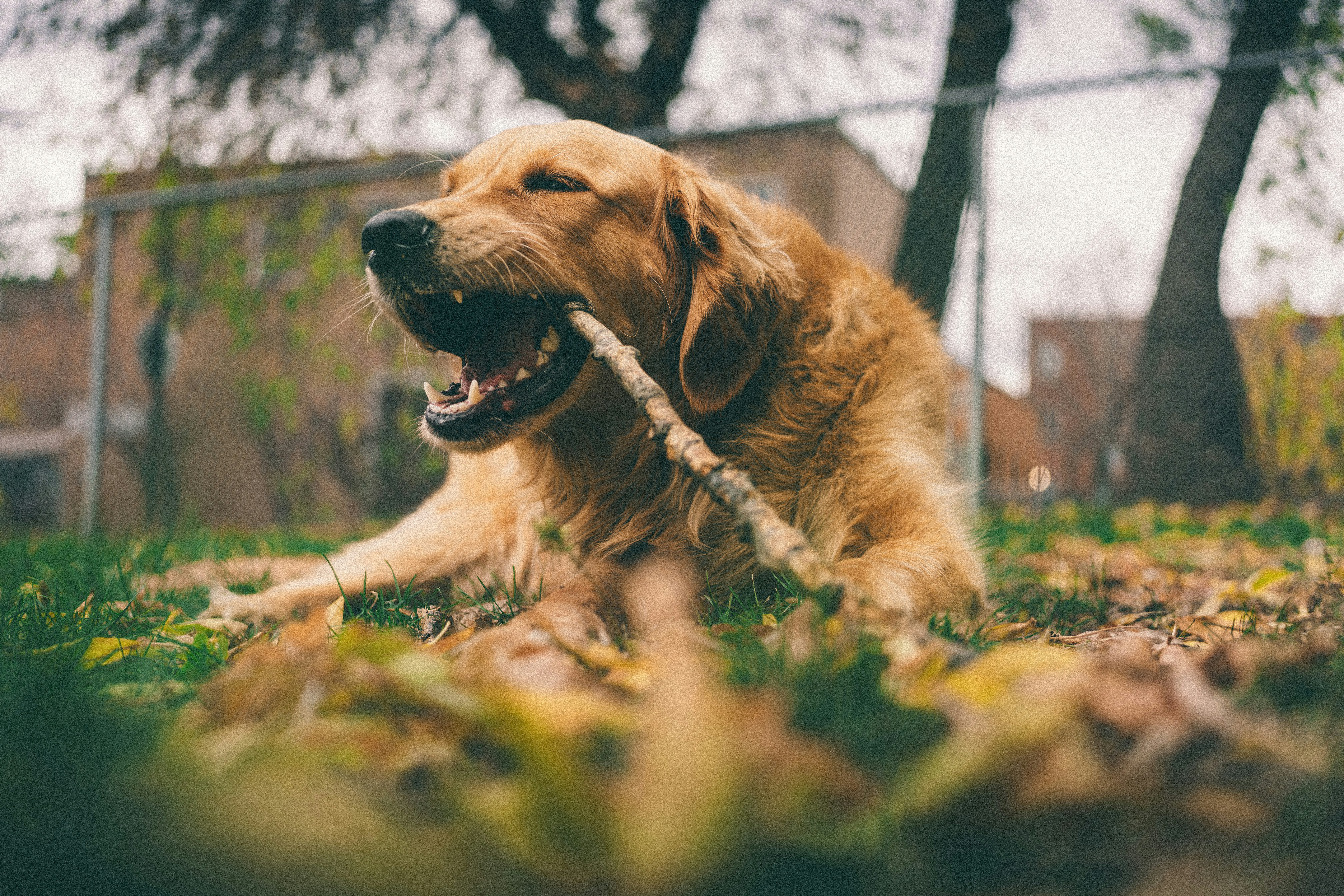 Photo by user90807060