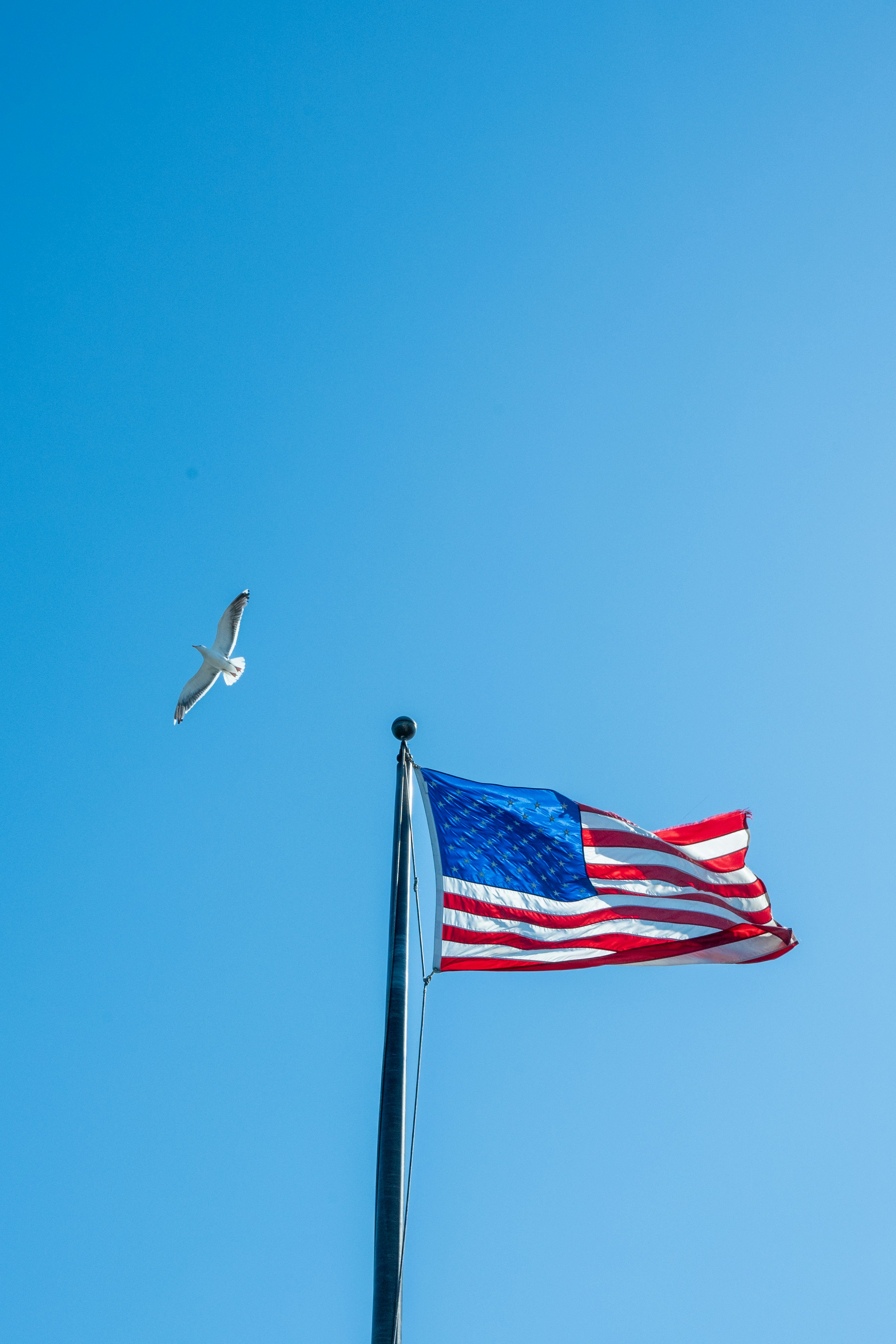 American flag waving against a clear blue sky