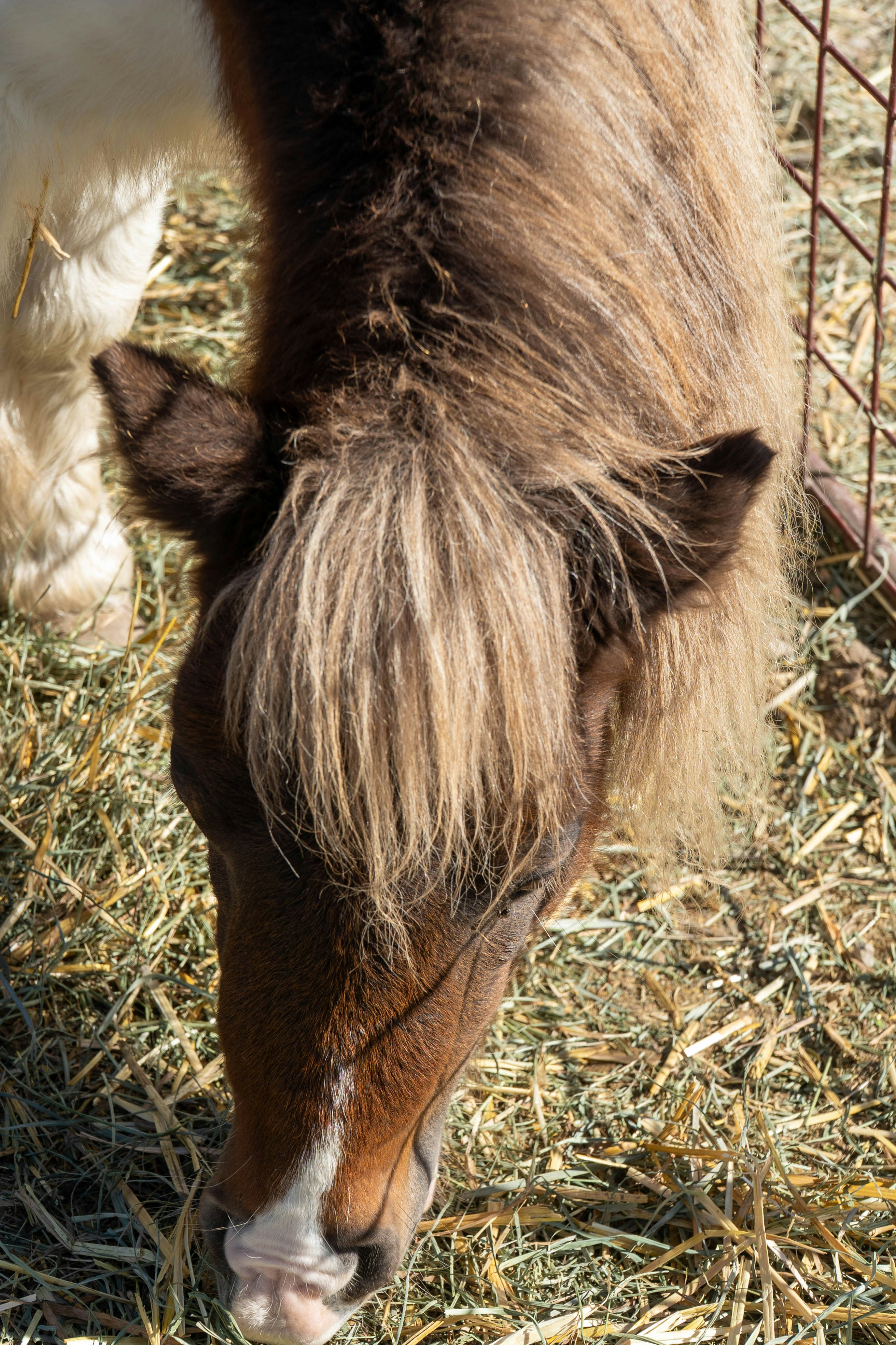 Photo by nico_mikaela17