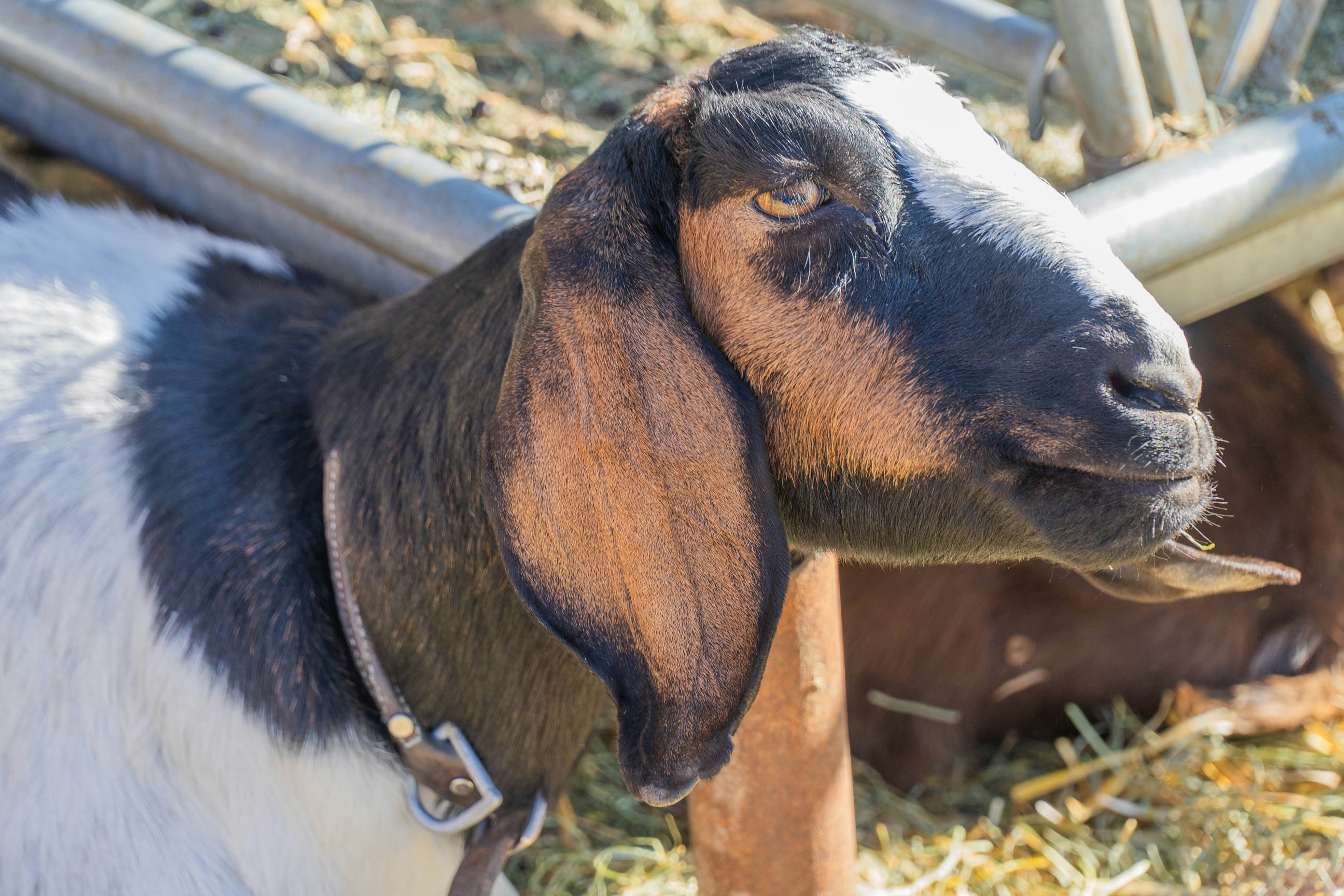 Photo by nico_mikaela17