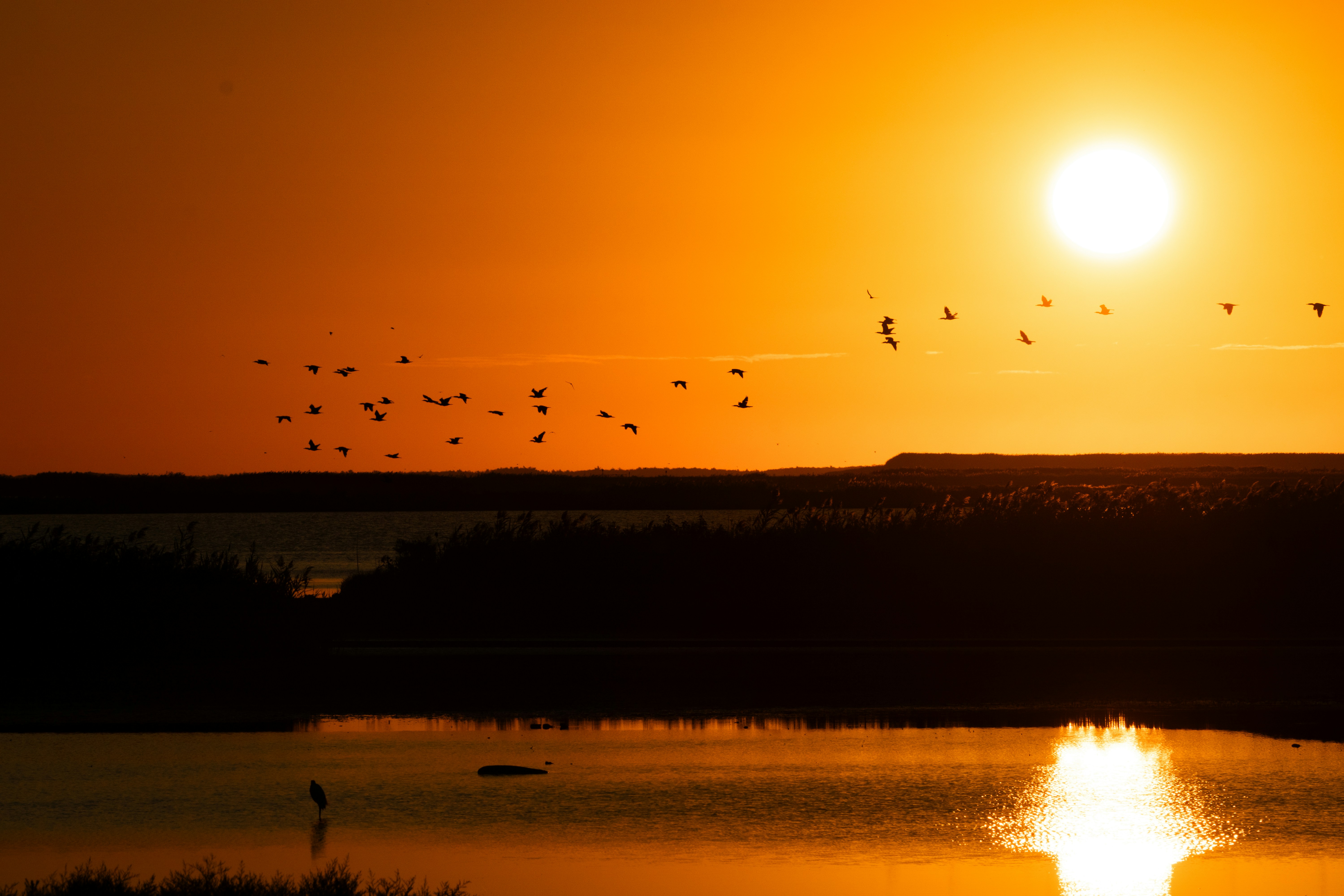 Photo by ucwhphotography