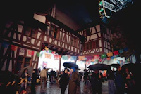 Best Rainy Day Activities in Pali When the Weather Turns