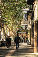 People walking on a tree-lined city street.