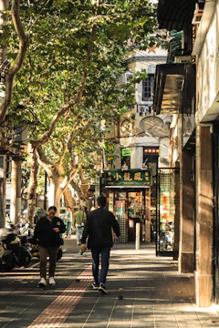 People walking on a tree-lined city street.