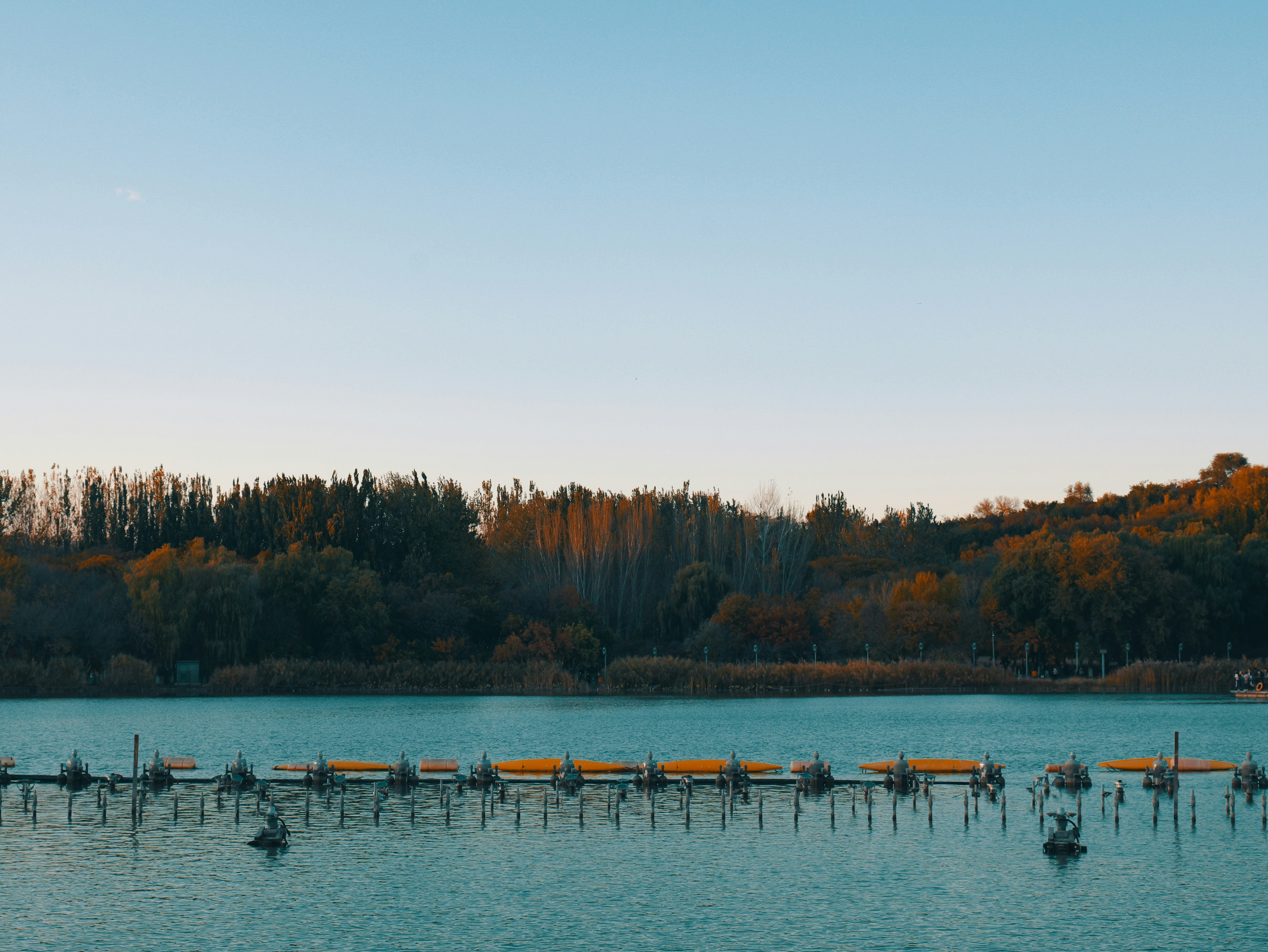 Photo by jerry_chen_