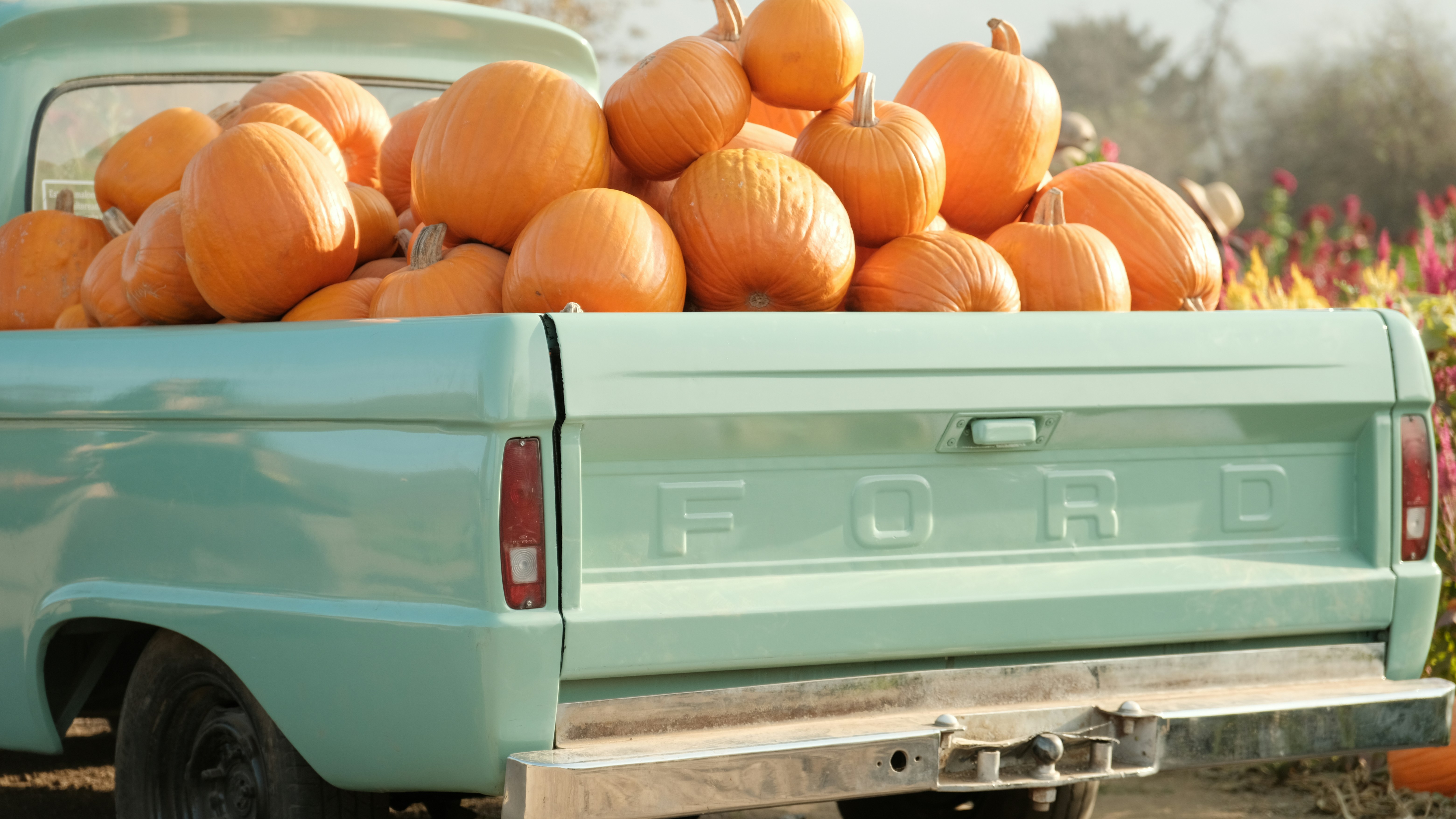 Exterior design details of an Iveco truck.