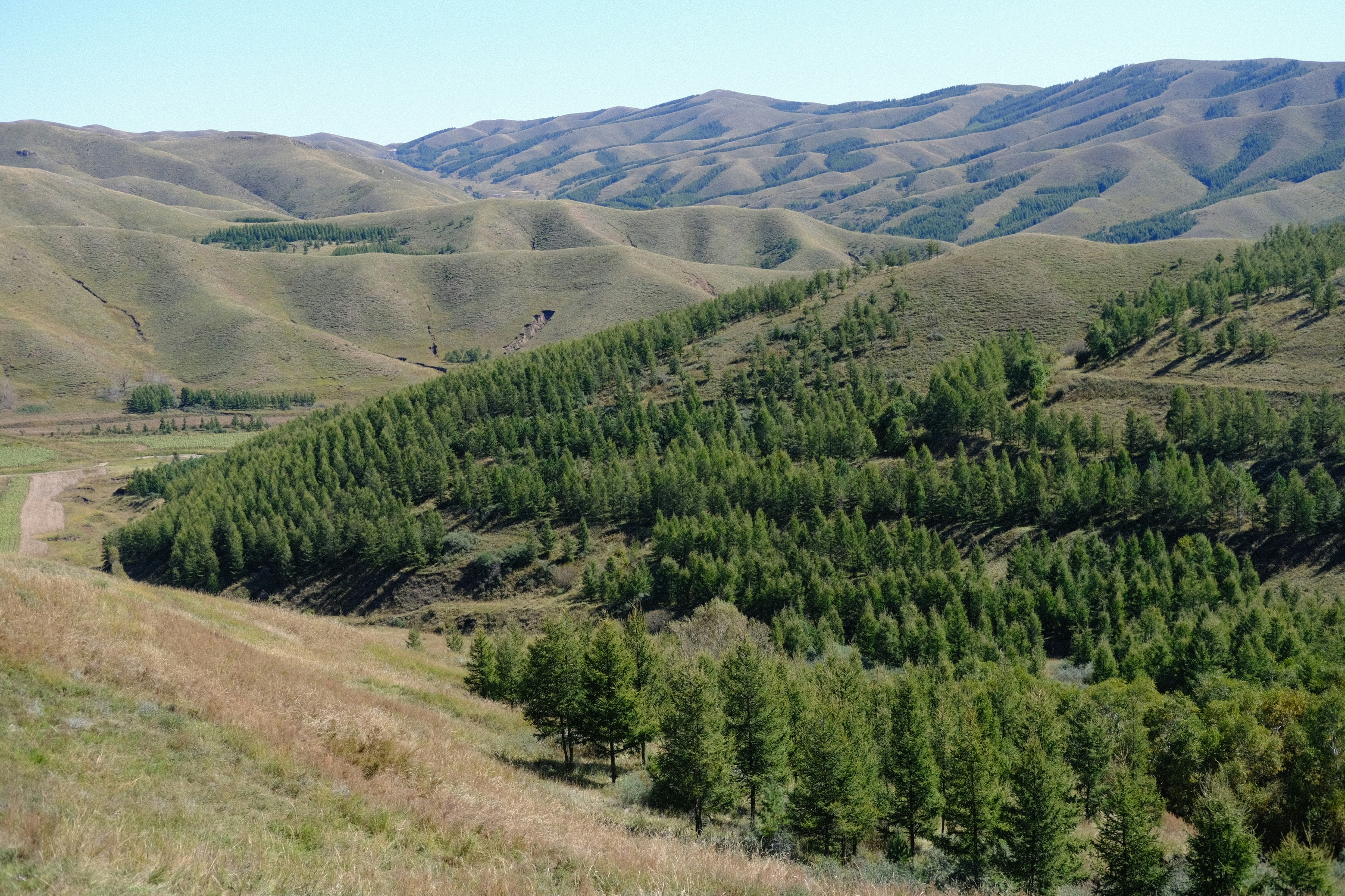 Photo by sophia70307