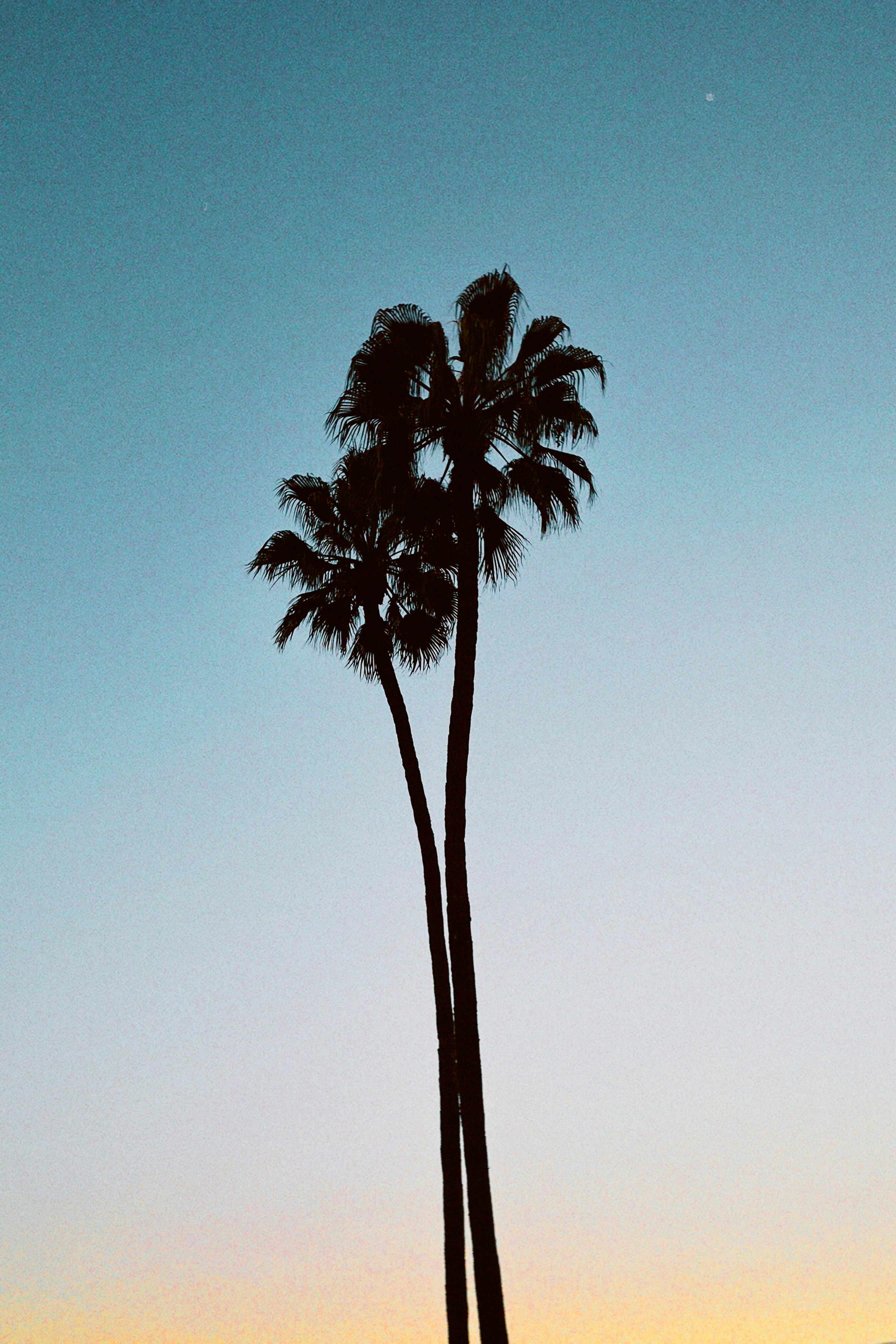 Photo by crewjohnsonofficial