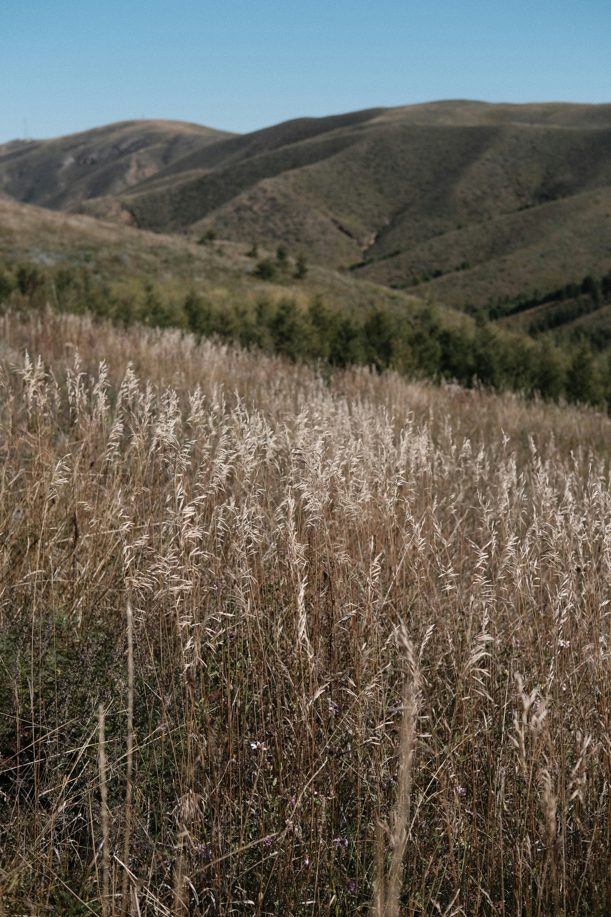 Photo by sophia70307