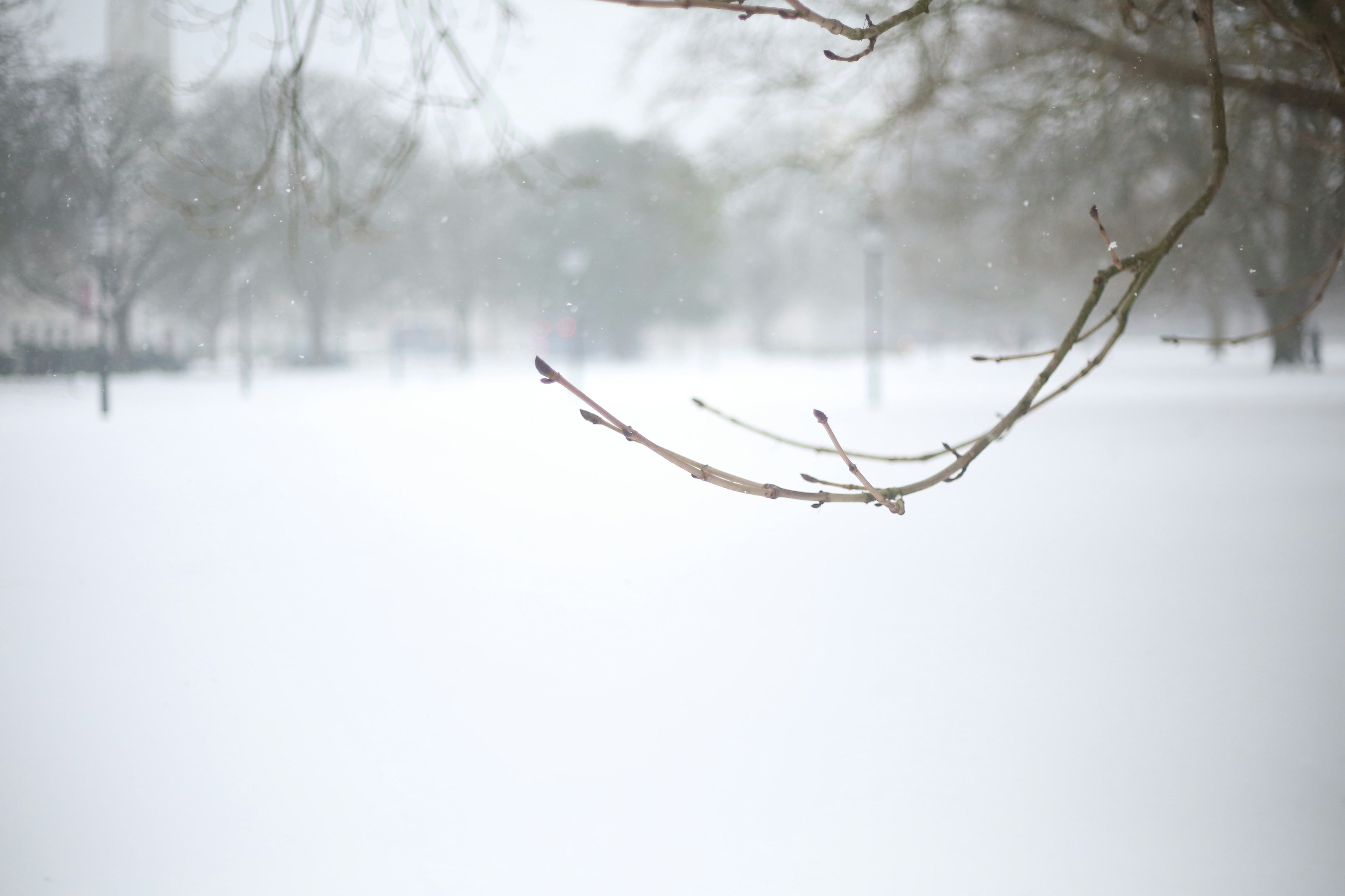 Photo by sophia70307