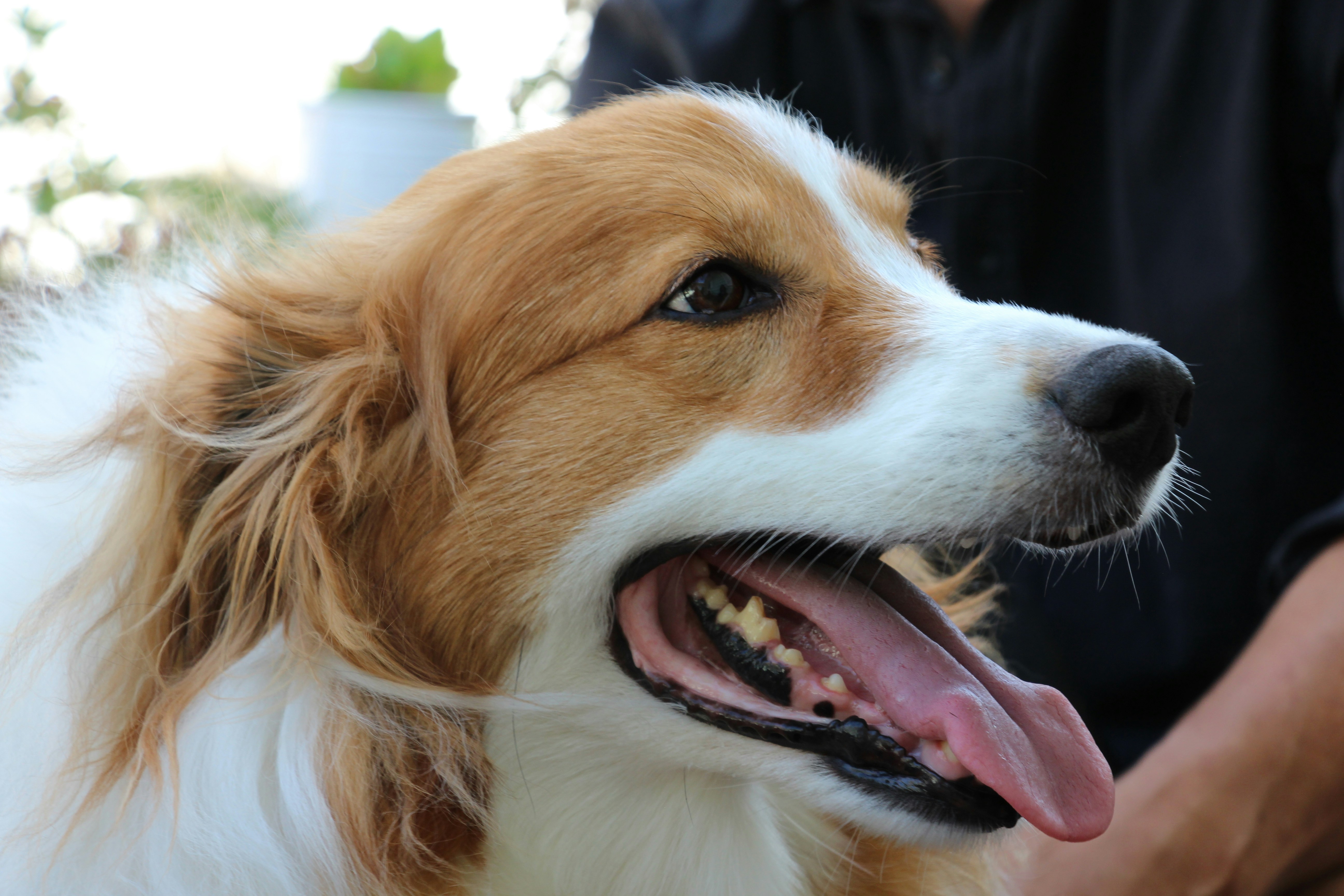 Photo by squirrelographer