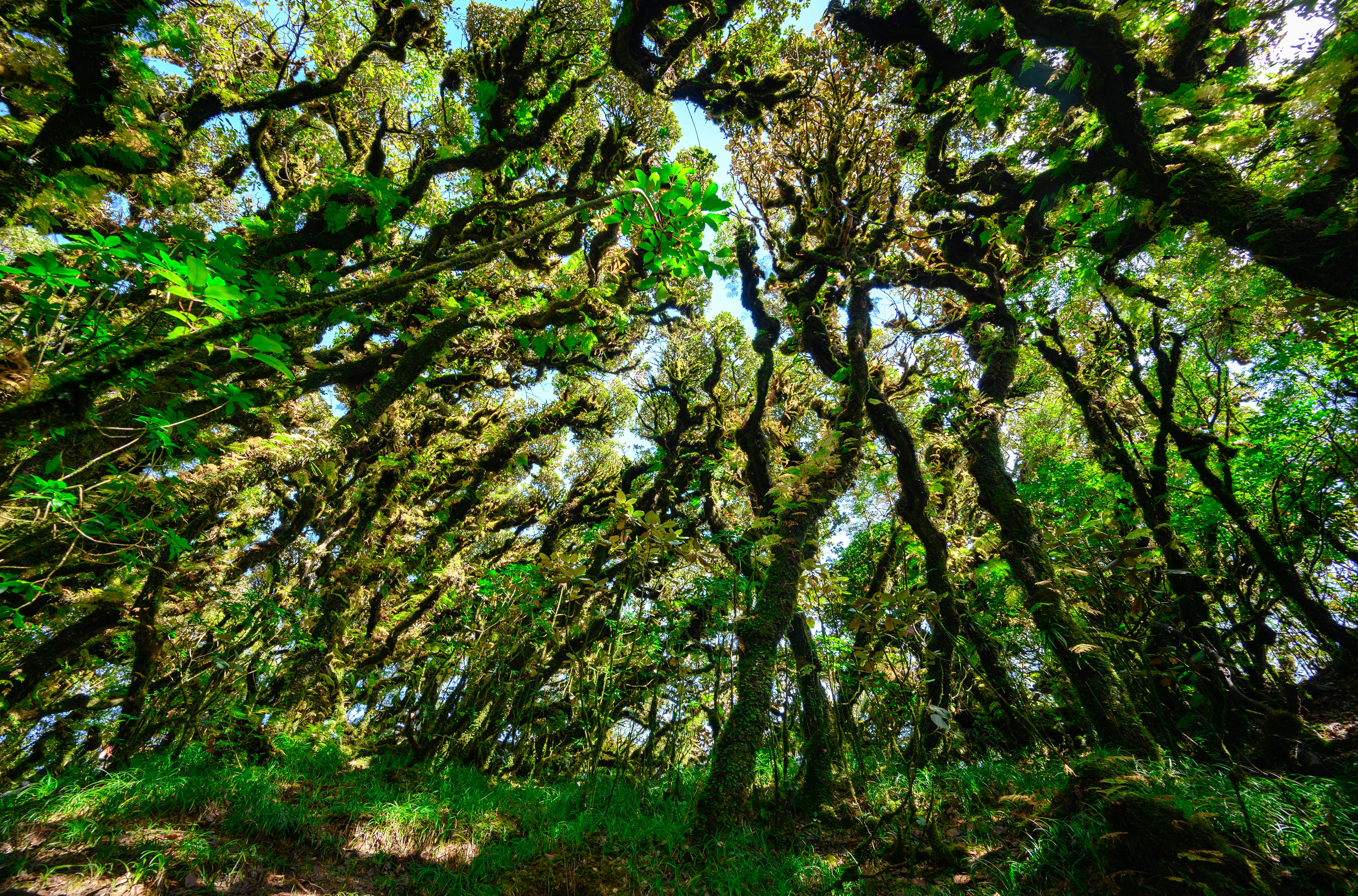 Photo by manhterry93