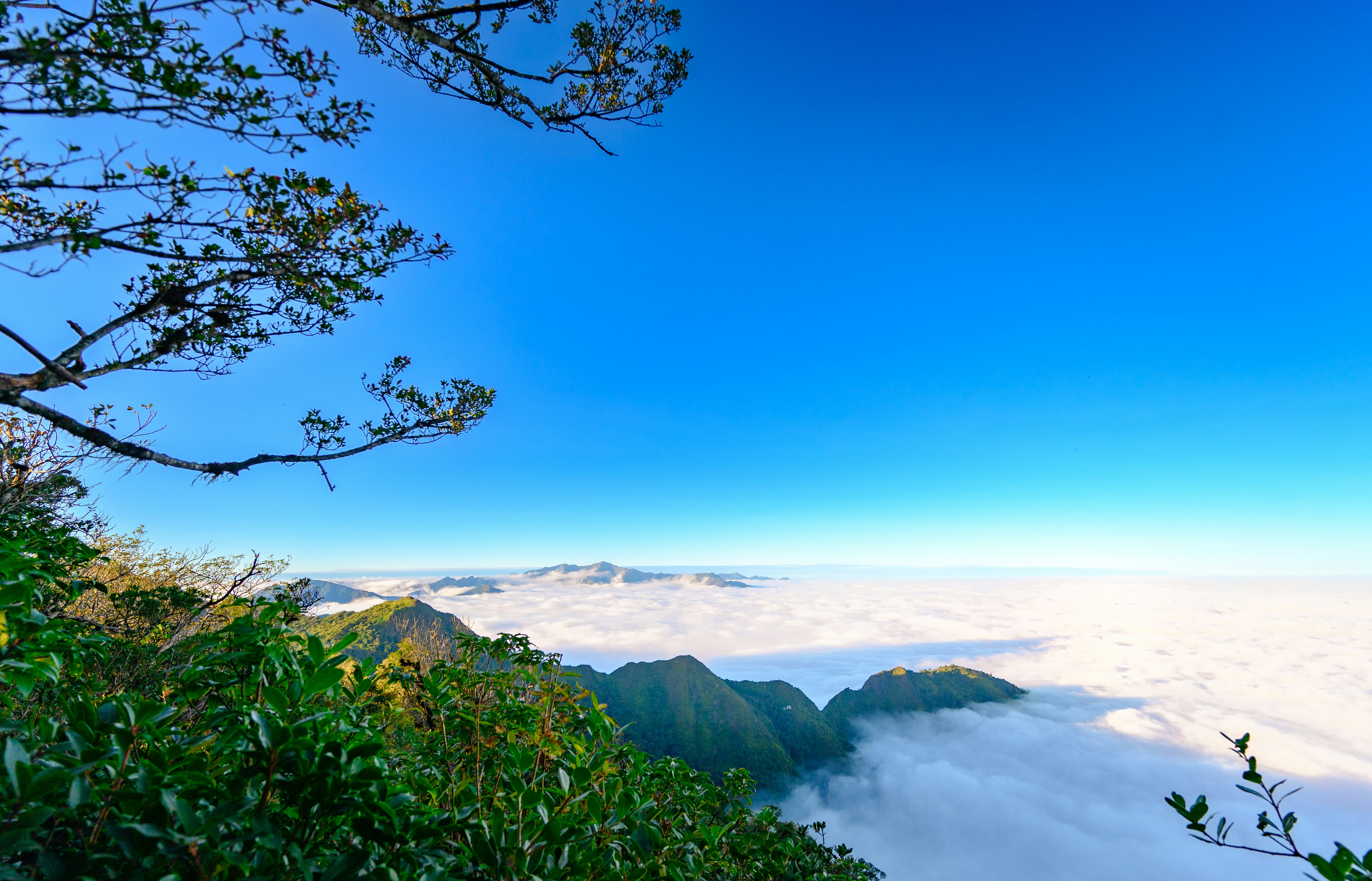 Photo by manhterry93