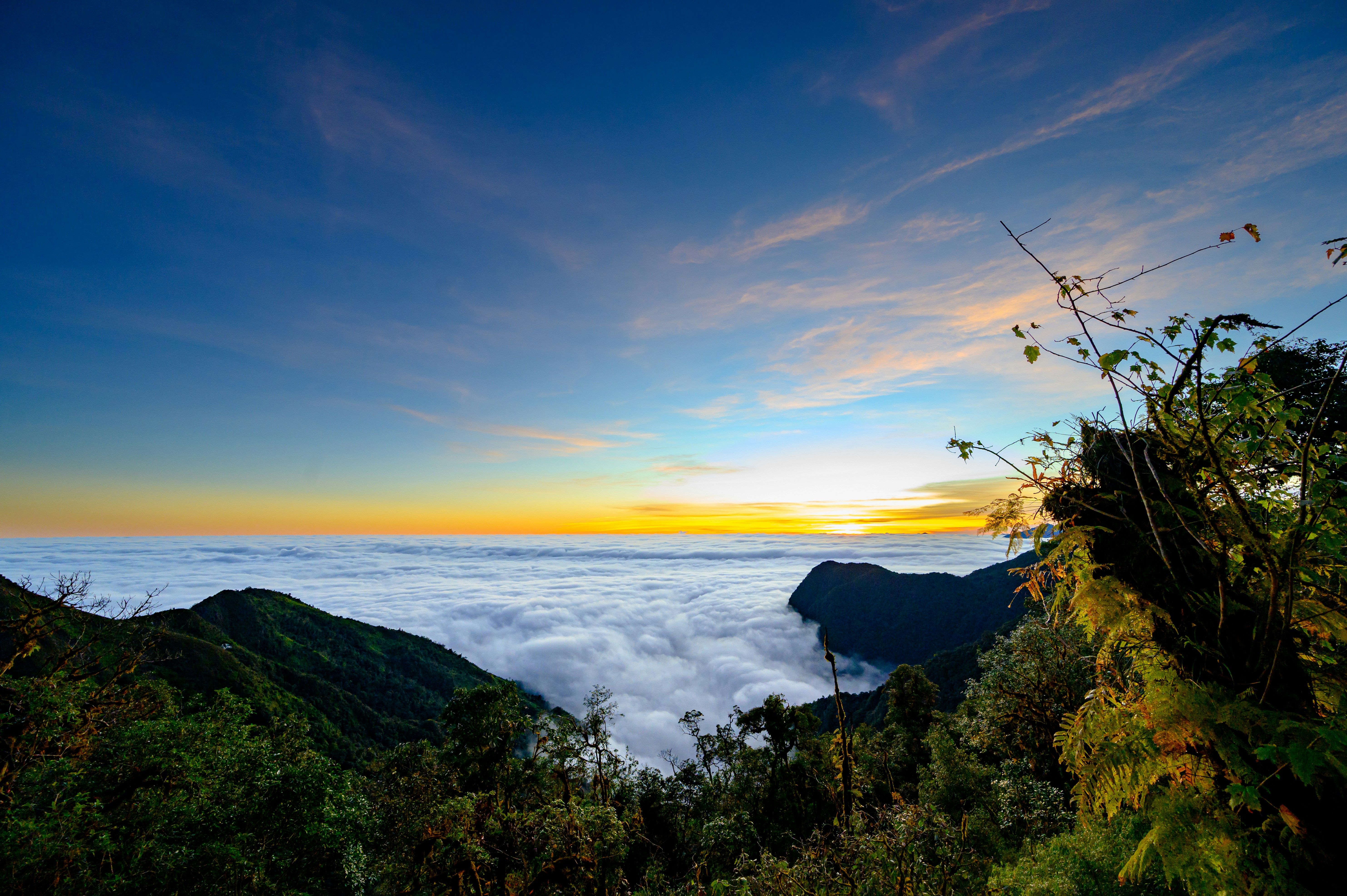 Photo by manhterry93