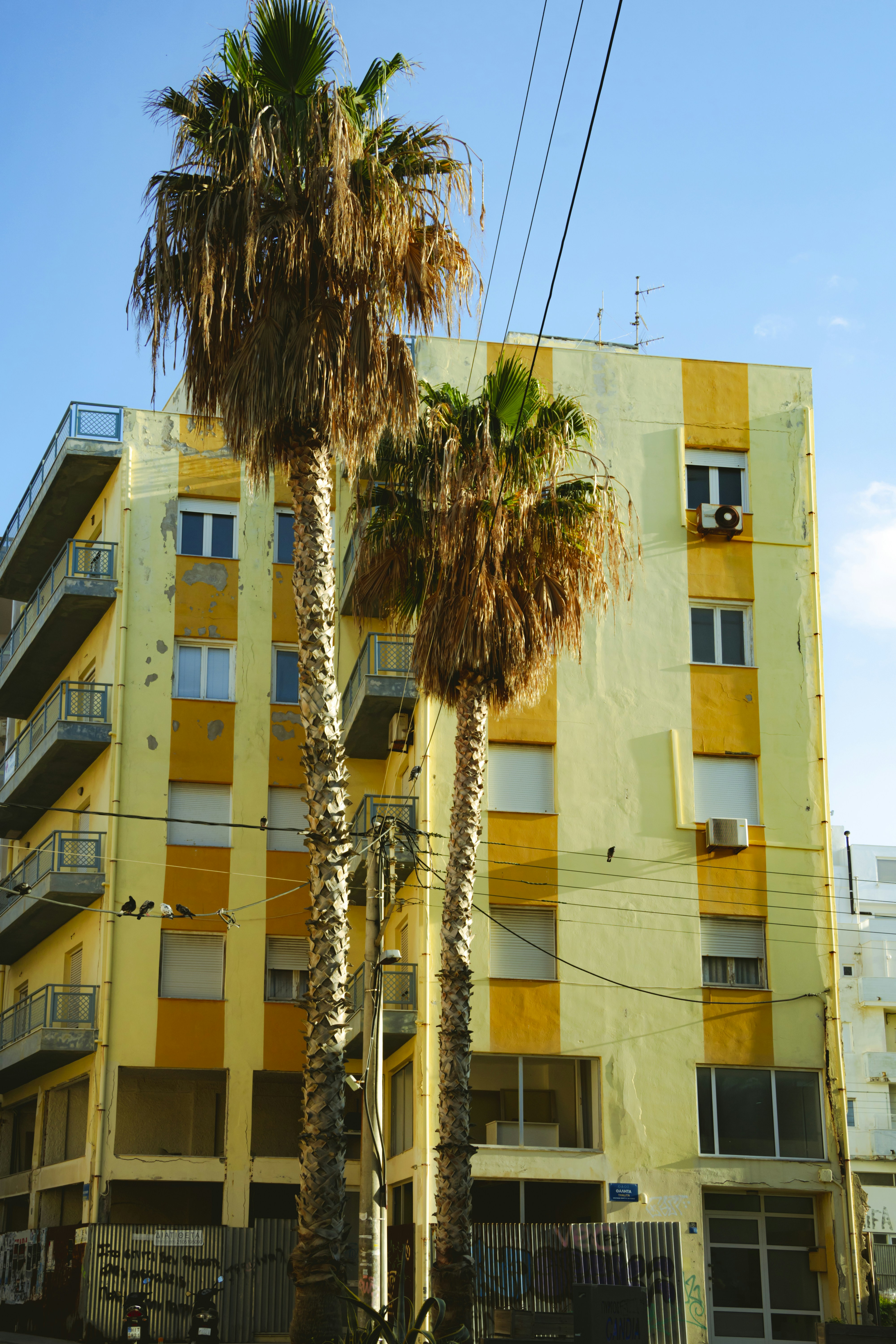Two tall palm trees in front of a yellow building.