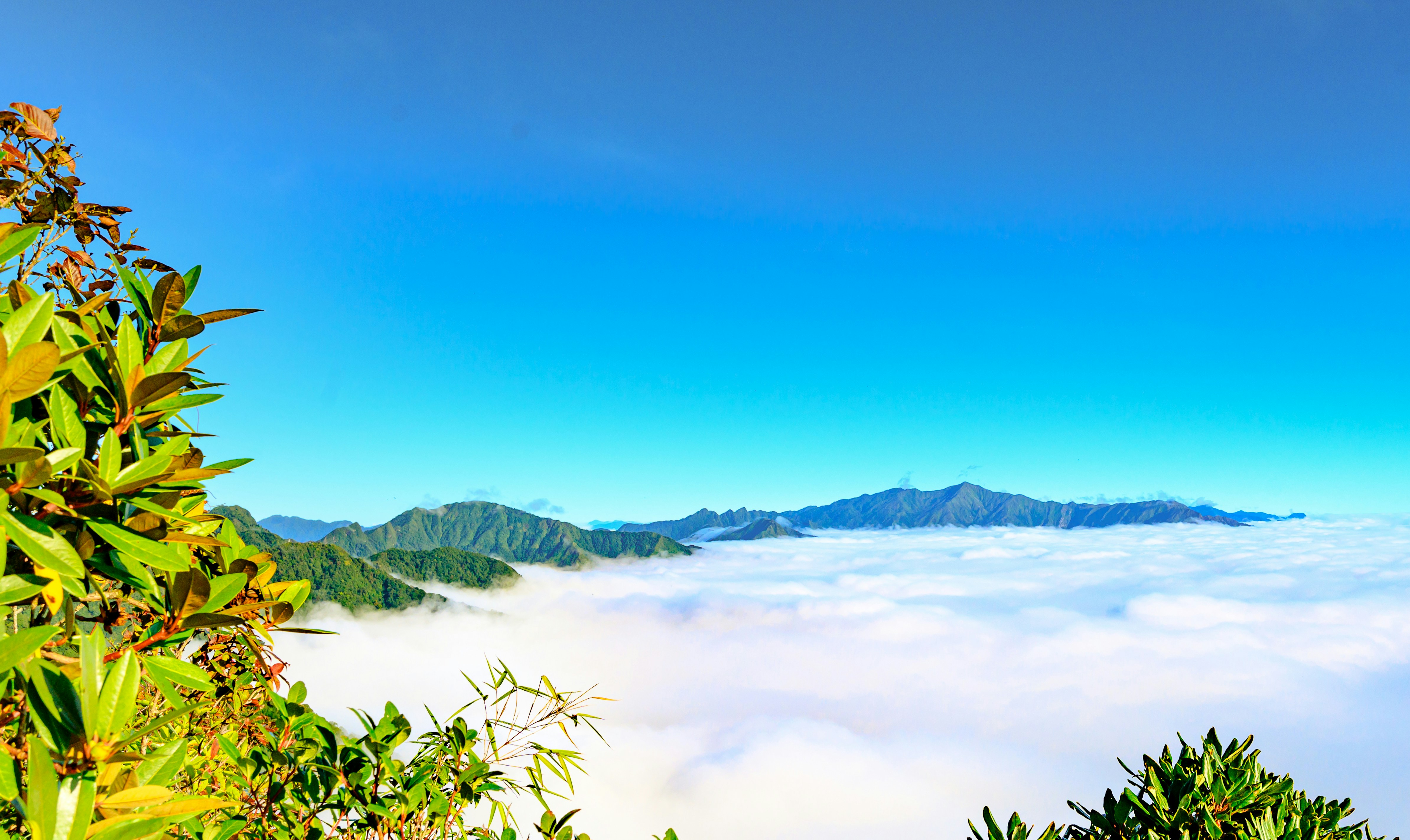 Photo by manhterry93