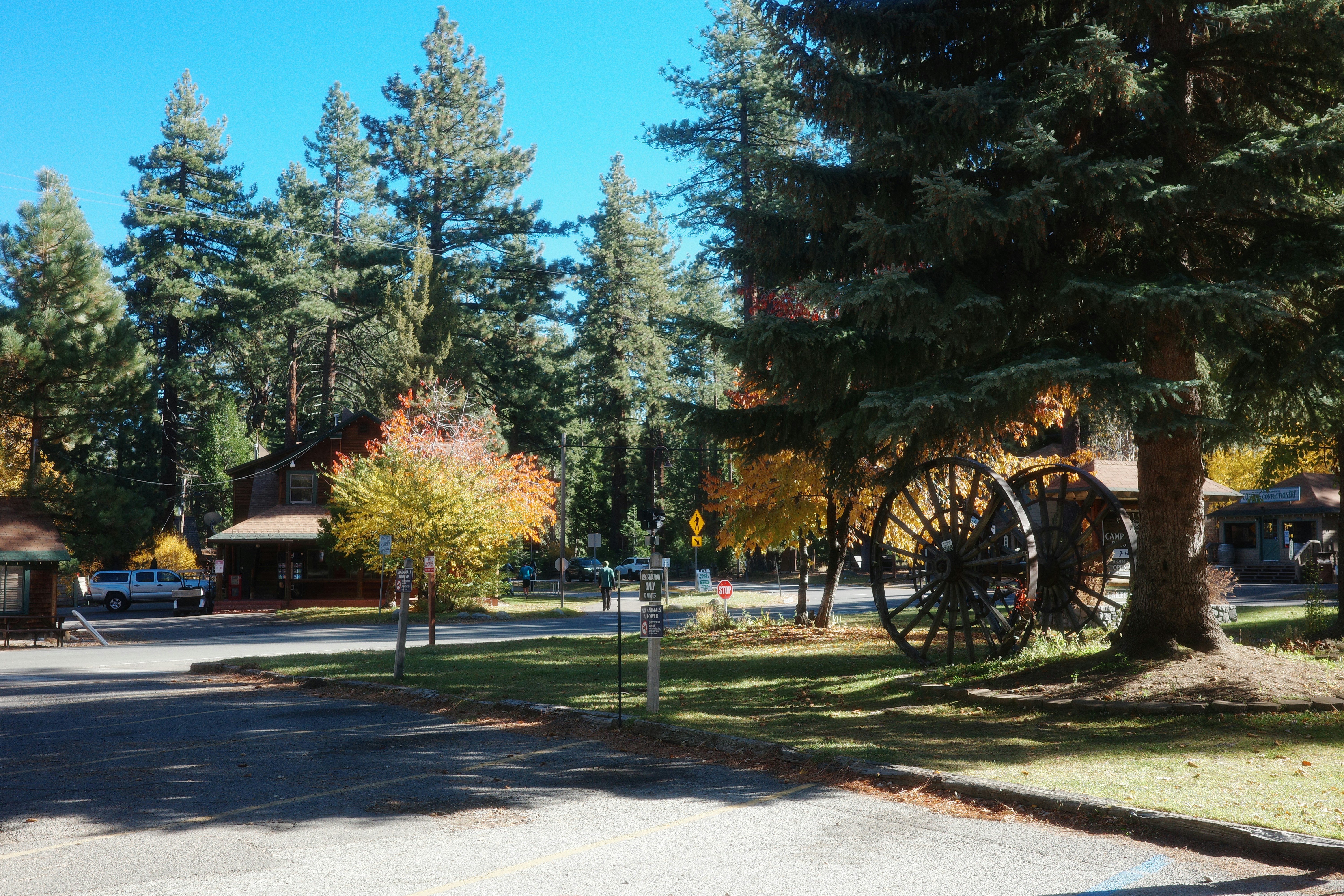 Autumn trees and old wagon wheel in park