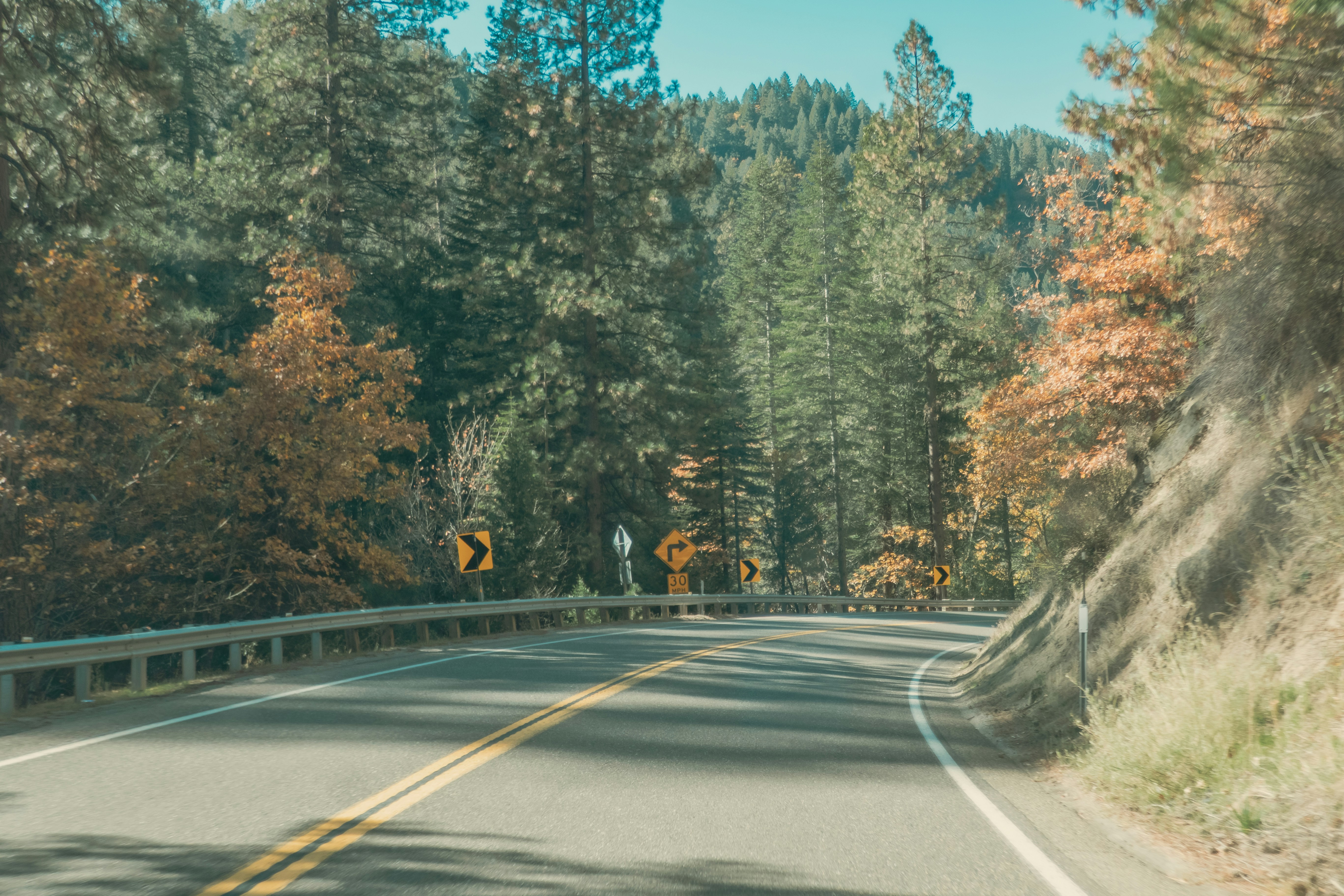Curving road through autumn forest with yellow signs